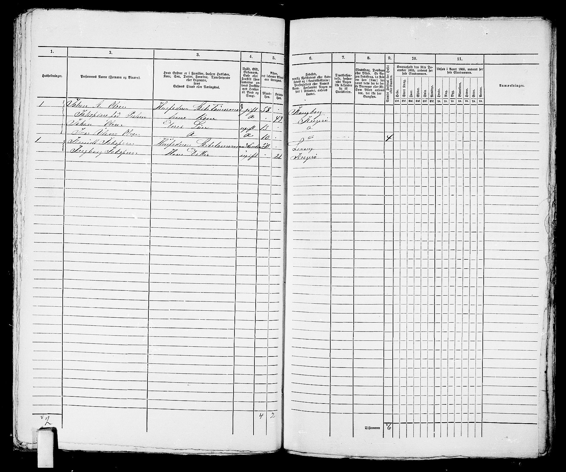 RA, 1865 census for Kragerø/Kragerø, 1865, p. 381