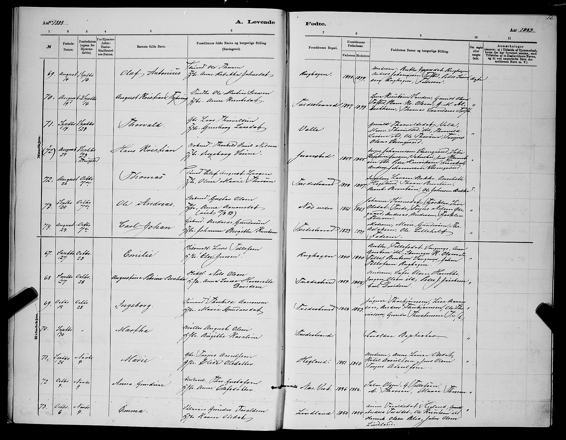 Holt sokneprestkontor, AV/SAK-1111-0021/F/Fb/L0010: Parish register (copy) no. B 10, 1883-1896, p. 12