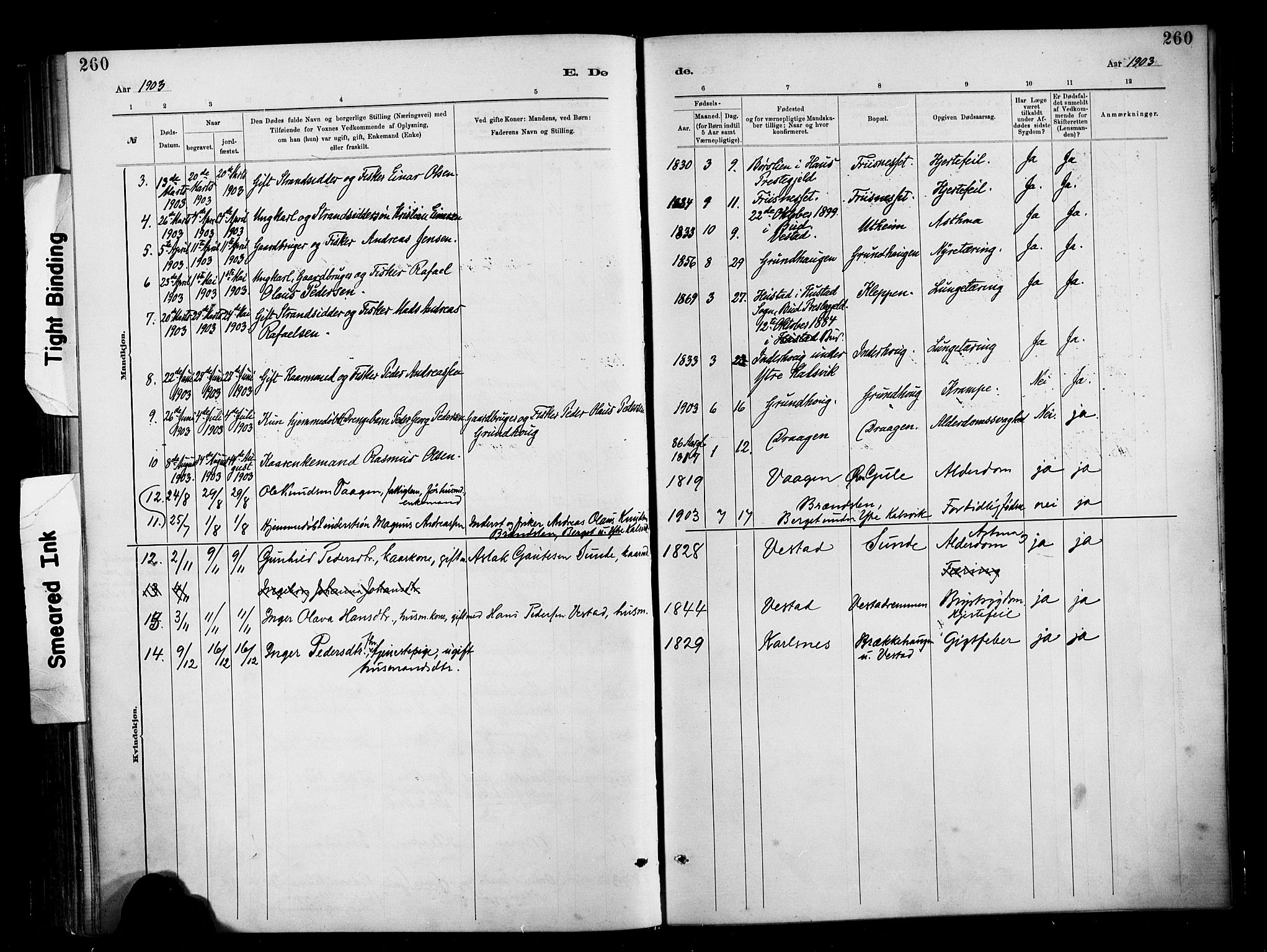 Ministerialprotokoller, klokkerbøker og fødselsregistre - Møre og Romsdal, AV/SAT-A-1454/566/L0769: Parish register (official) no. 566A08, 1881-1903, p. 260