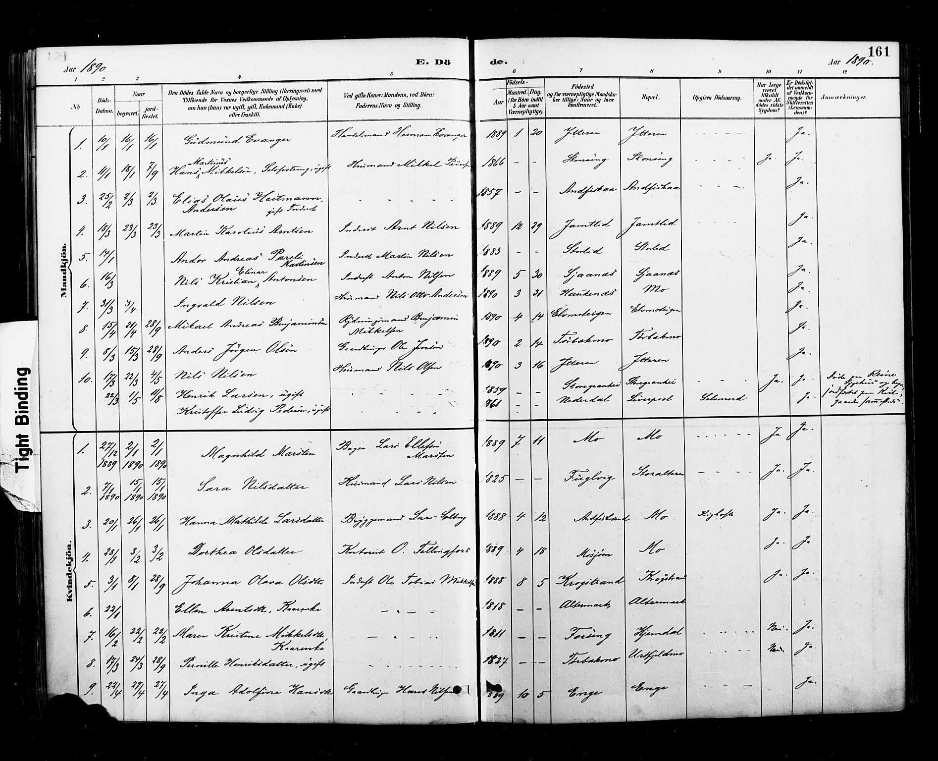 Ministerialprotokoller, klokkerbøker og fødselsregistre - Nordland, AV/SAT-A-1459/827/L0401: Parish register (official) no. 827A13, 1887-1905, p. 161