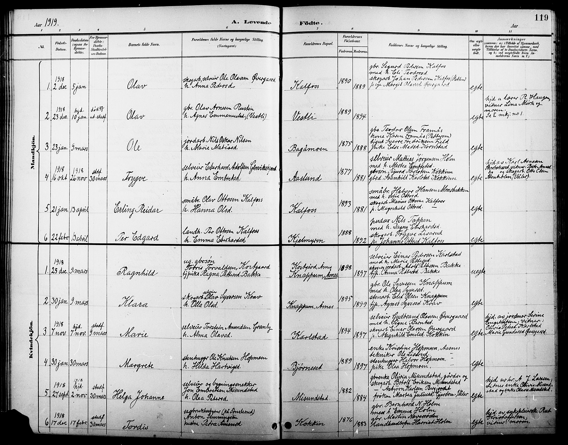 Åsnes prestekontor, AV/SAH-PREST-042/H/Ha/Hab/L0005: Parish register (copy) no. 5, 1895-1920, p. 119