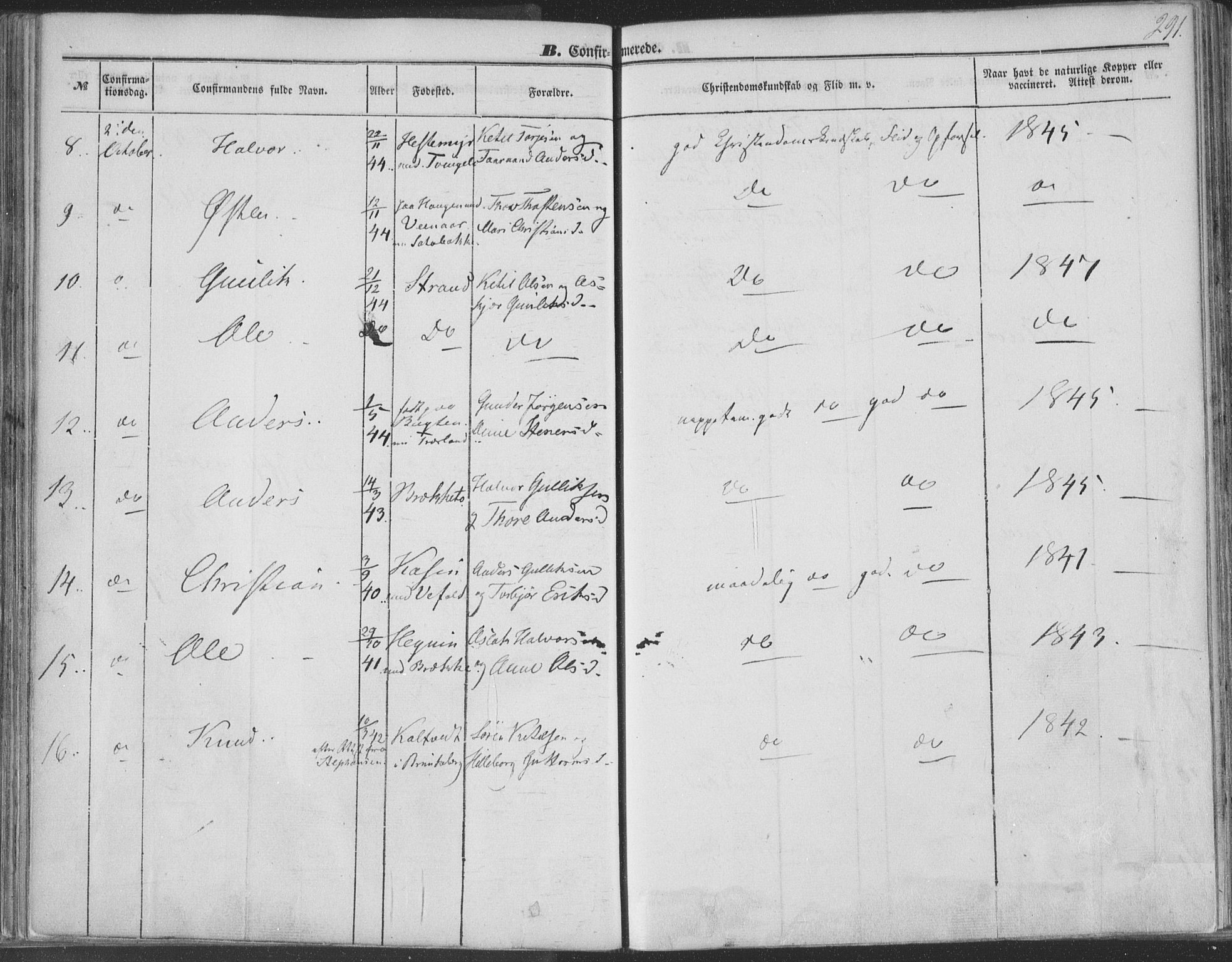 Seljord kirkebøker, AV/SAKO-A-20/F/Fa/L012b: Parish register (official) no. I 12B, 1850-1865, p. 291