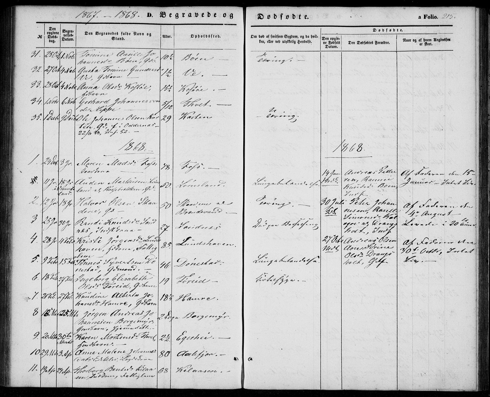 Tveit sokneprestkontor, AV/SAK-1111-0043/F/Fa/L0005: Parish register (official) no. A 5, 1853-1871, p. 215