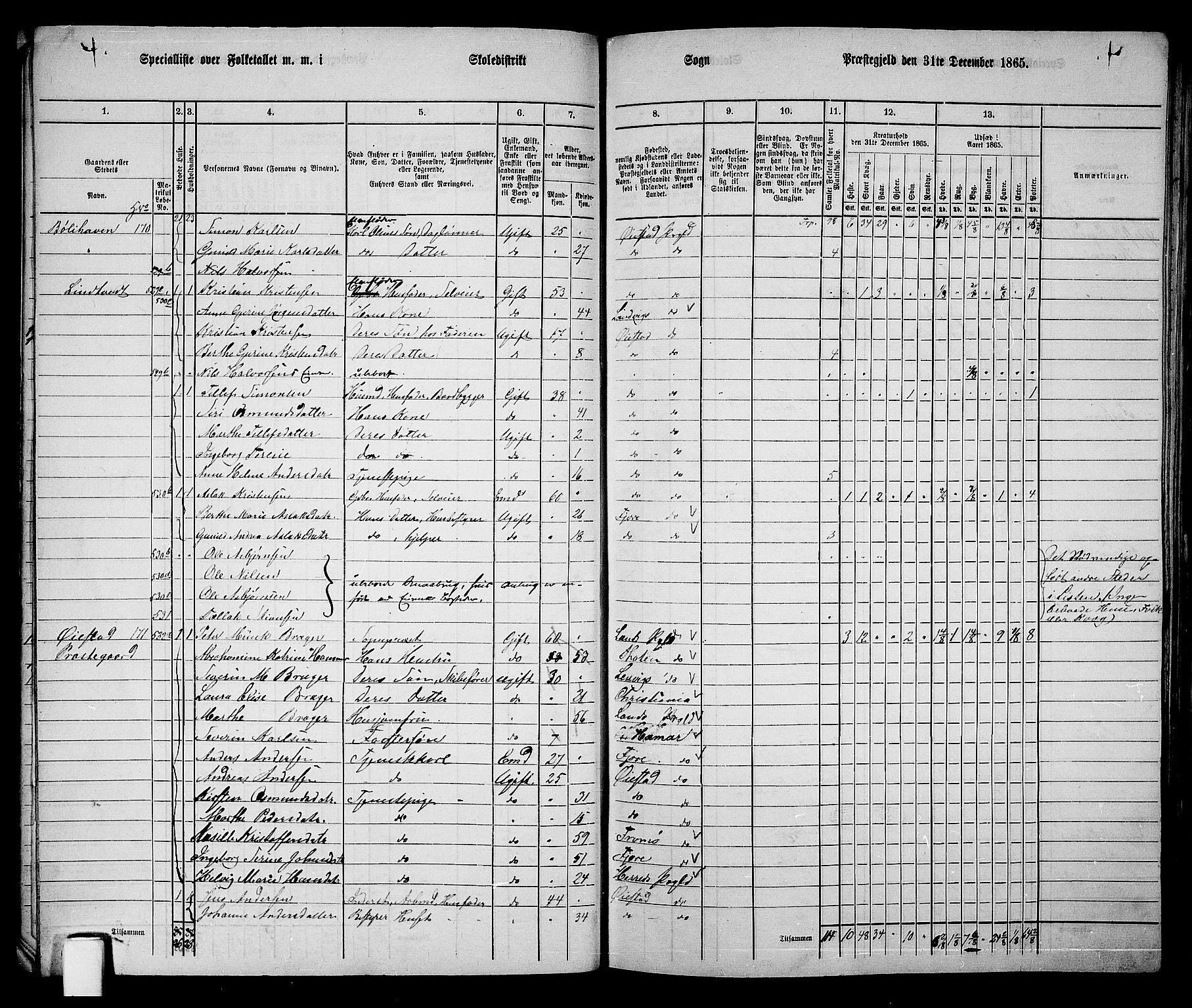 RA, 1865 census for Øyestad, 1865, p. 45