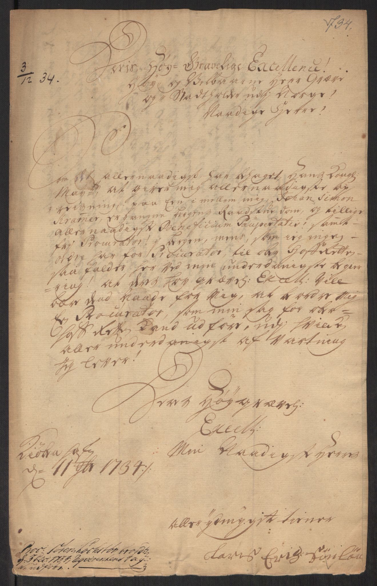 Stattholderembetet 1572-1771, AV/RA-EA-2870/Ef/L0107: Brev fra embetsmenn og andre, 1733-1734, p. 415