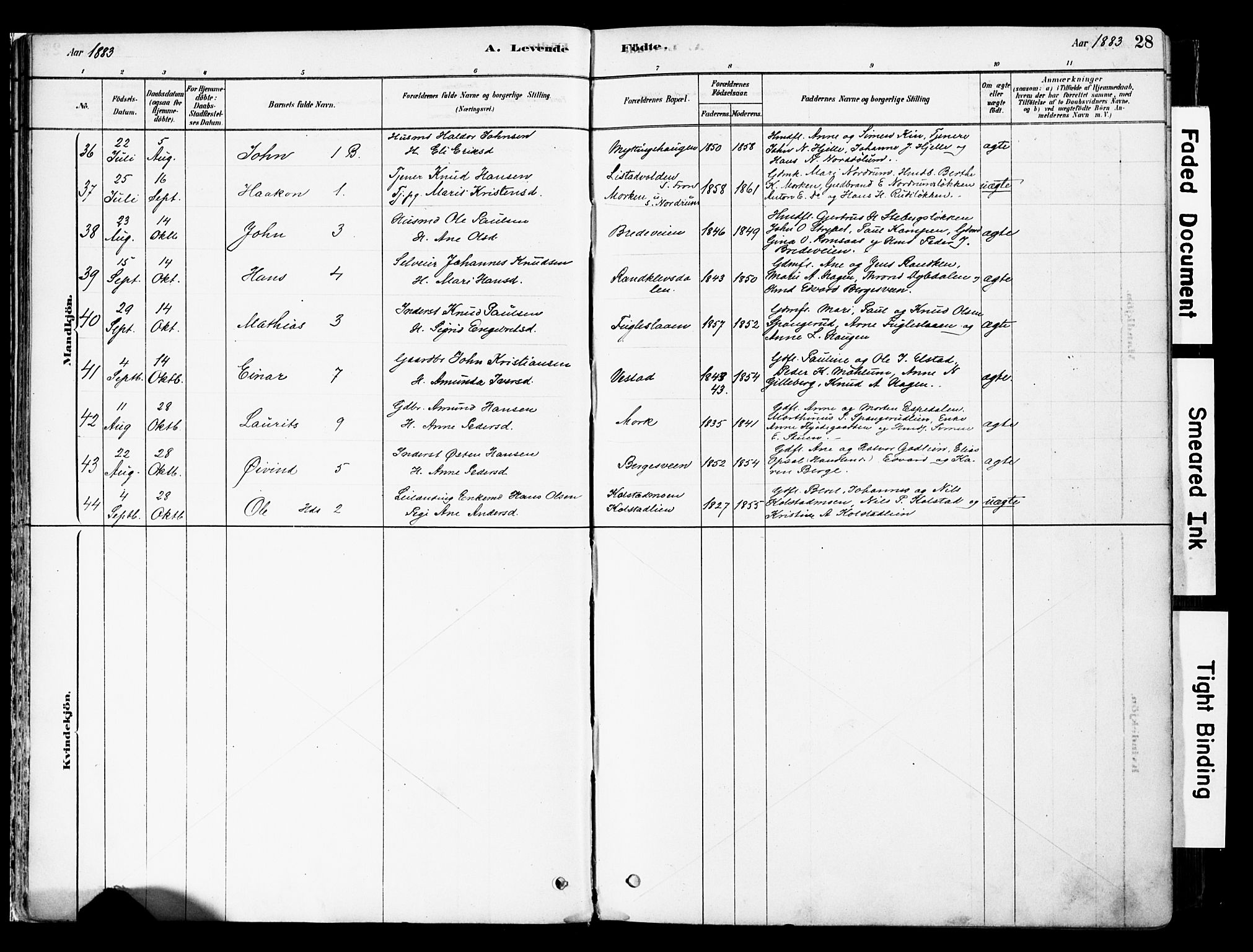 Ringebu prestekontor, AV/SAH-PREST-082/H/Ha/Haa/L0008: Parish register (official) no. 8, 1878-1898, p. 28