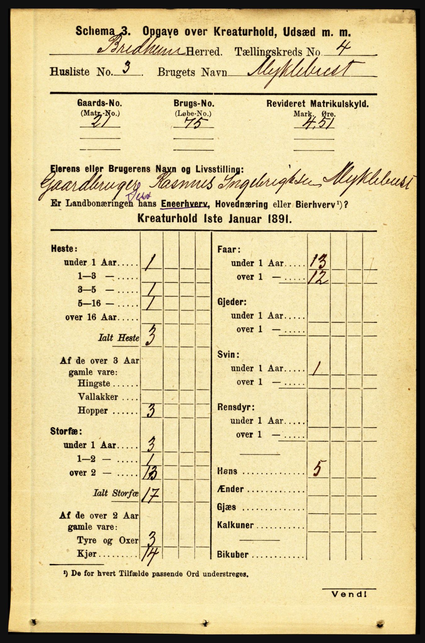 RA, 1891 census for 1446 Breim, 1891, p. 2666