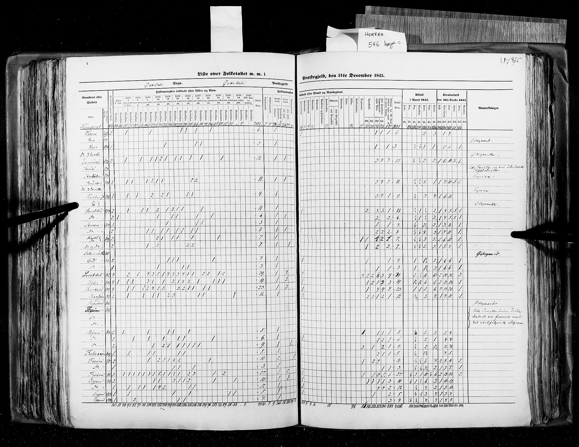 RA, Census 1845, vol. 8: Romsdal amt og Søndre Trondhjems amt, 1845, p. 387