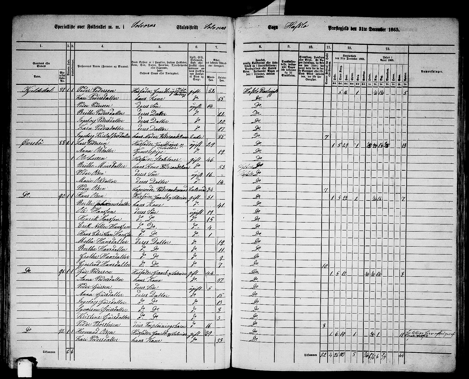 RA, 1865 census for Hafslo, 1865, p. 64