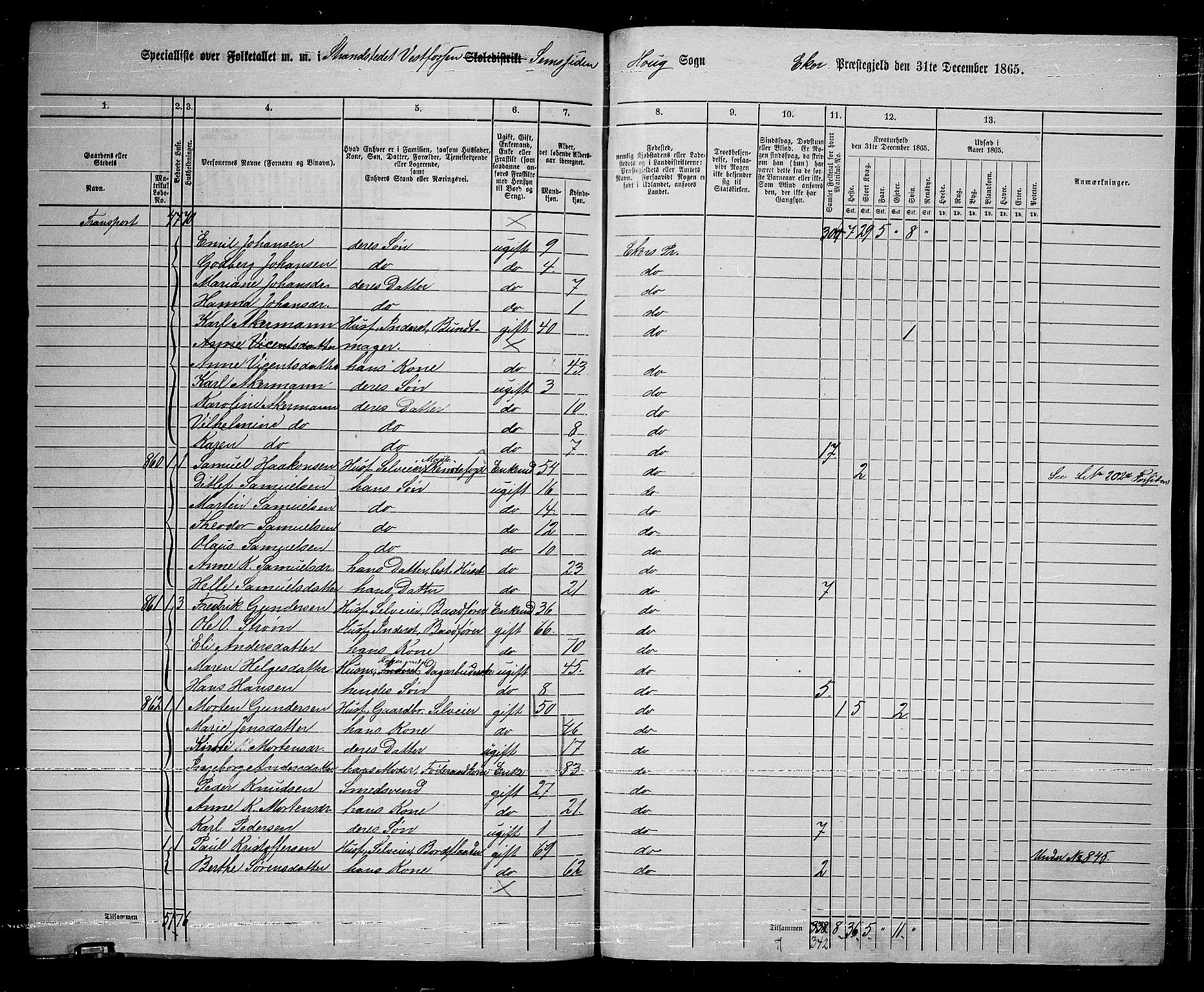 RA, 1865 census for Eiker, 1865, p. 251