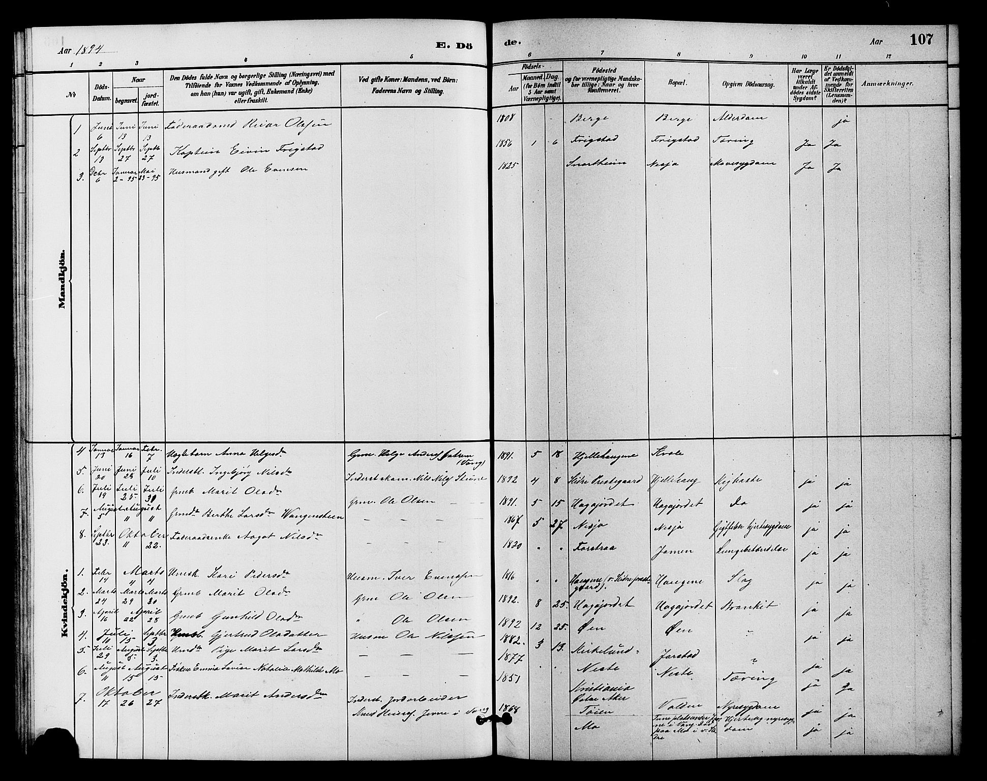 Vestre Slidre prestekontor, SAH/PREST-136/H/Ha/Hab/L0004: Parish register (copy) no. 4, 1881-1912, p. 107