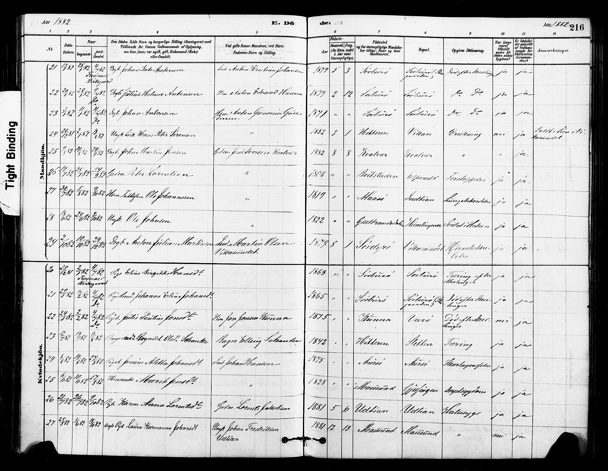 Ministerialprotokoller, klokkerbøker og fødselsregistre - Sør-Trøndelag, SAT/A-1456/640/L0578: Parish register (official) no. 640A03, 1879-1889, p. 216
