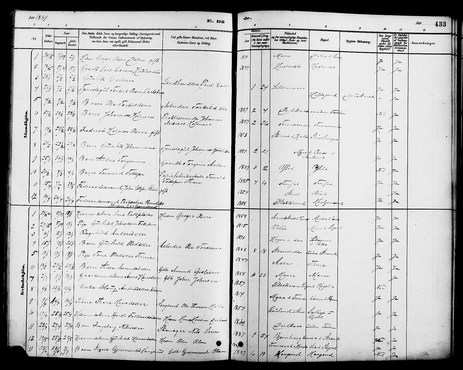 Heddal kirkebøker, SAKO/A-268/G/Ga/L0002: Parish register (copy) no. I 2, 1879-1908, p. 433