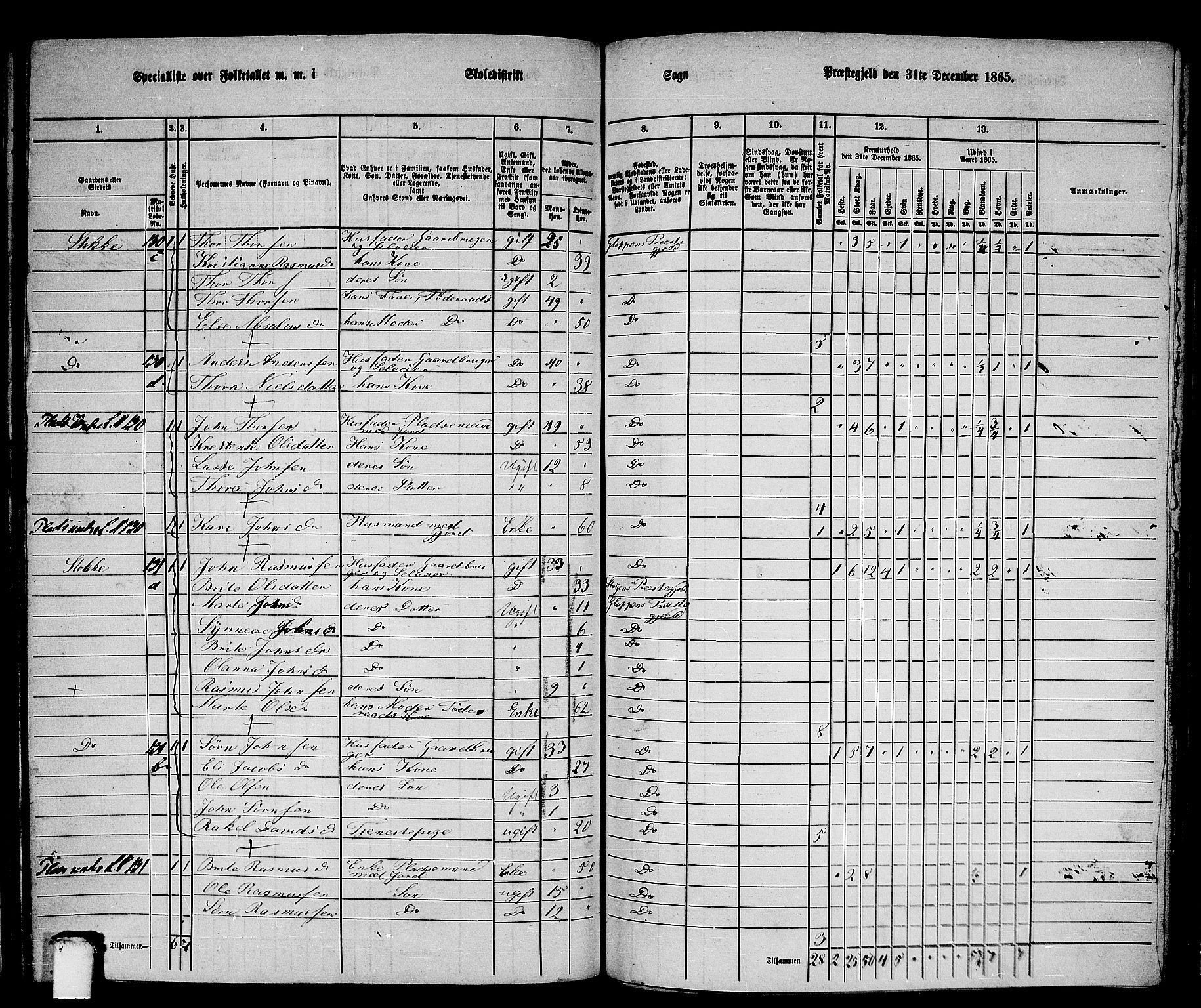 RA, 1865 census for Gloppen, 1865, p. 171