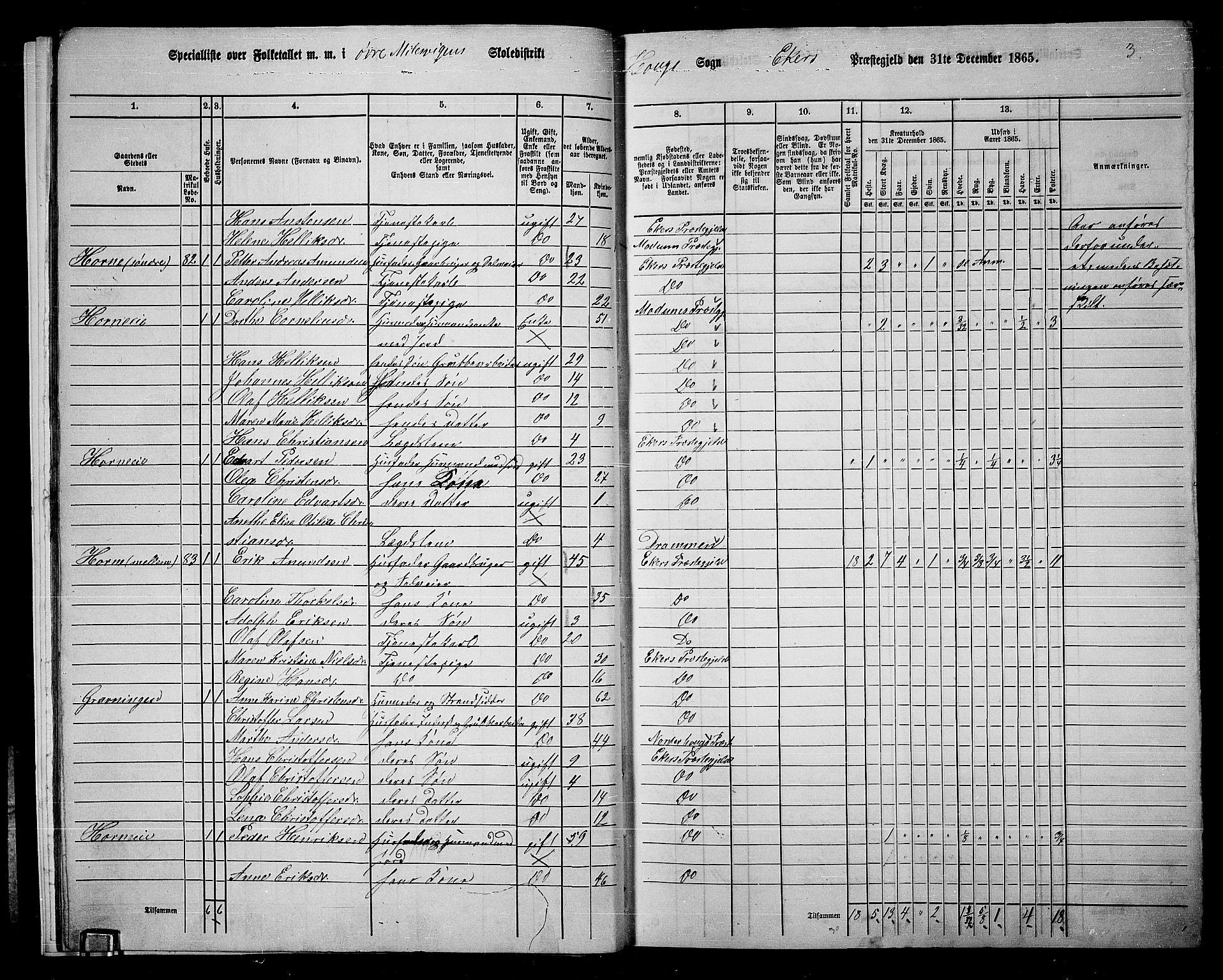 RA, 1865 census for Eiker, 1865, p. 16