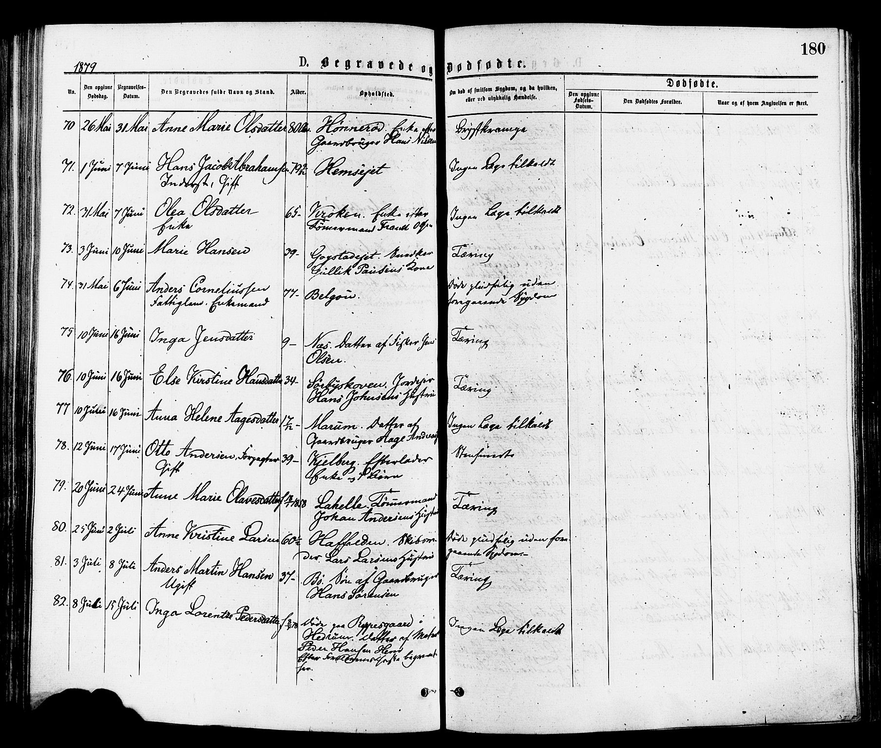 Sandar kirkebøker, SAKO/A-243/F/Fa/L0011: Parish register (official) no. 11, 1872-1882, p. 180