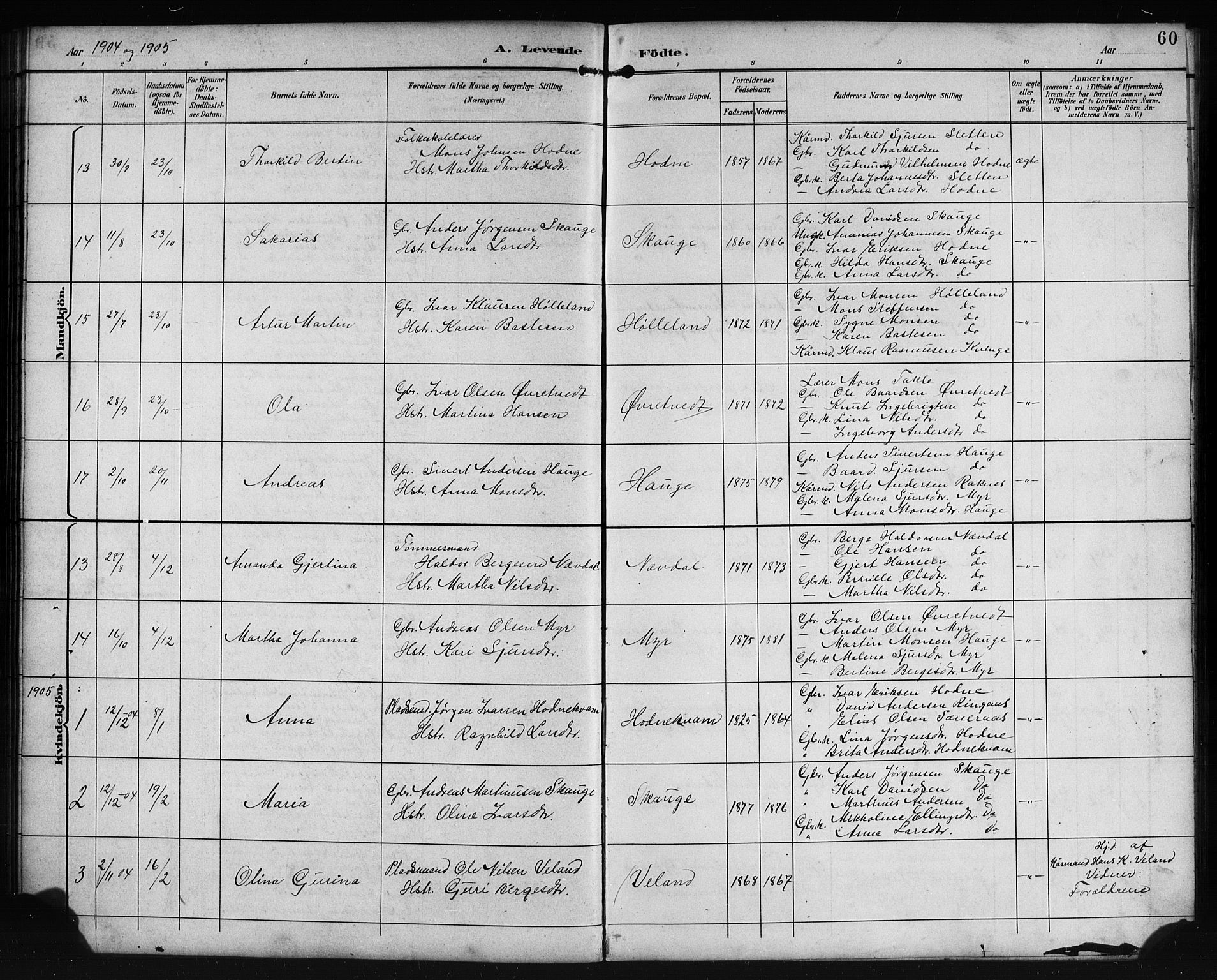 Lindås Sokneprestembete, SAB/A-76701/H/Hab: Parish register (copy) no. E 3, 1892-1905, p. 60