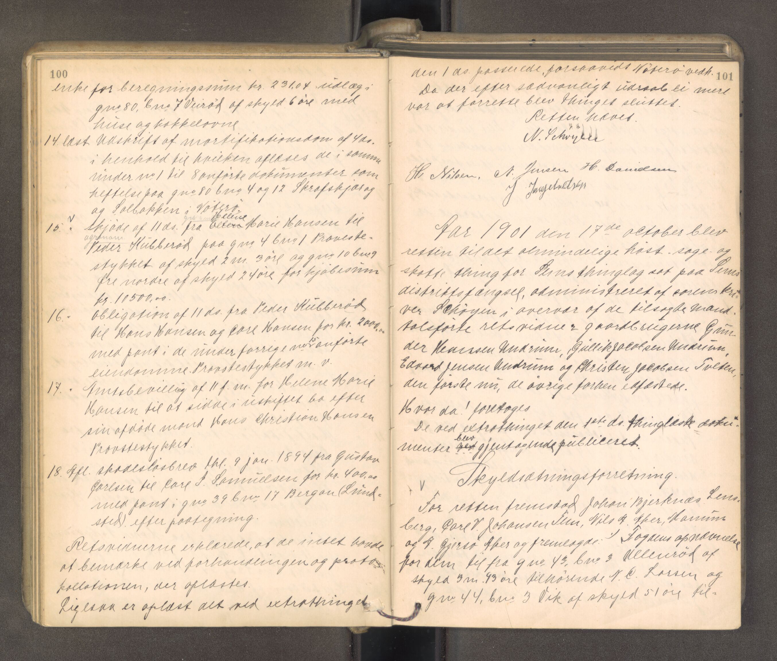 Søndre Jarlsberg sorenskriveri, AV/SAKO-A-129/F/Fa/L0043: Tingbok, 1901-1903, p. 100-101