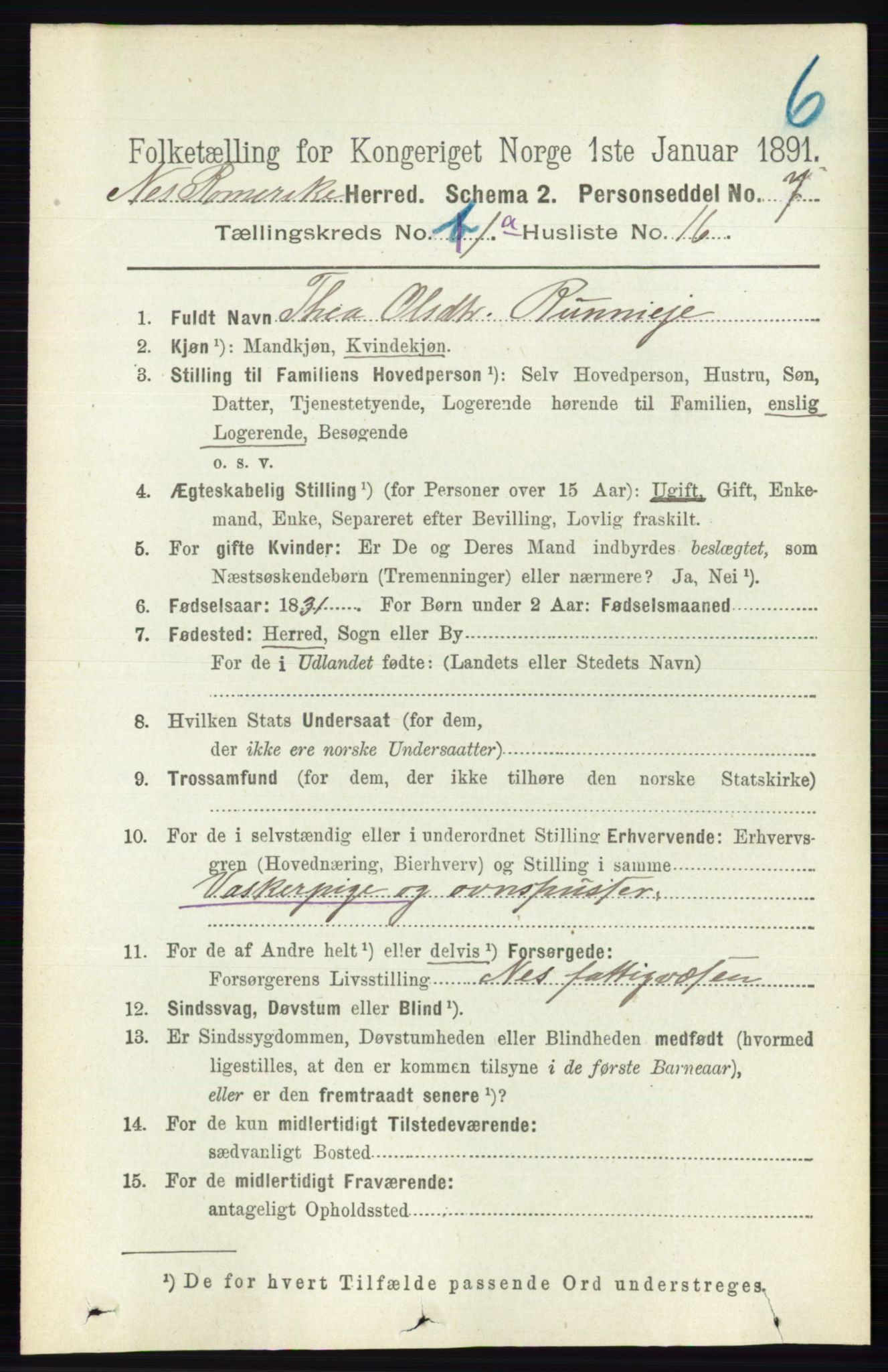 RA, 1891 census for 0236 Nes, 1891, p. 215