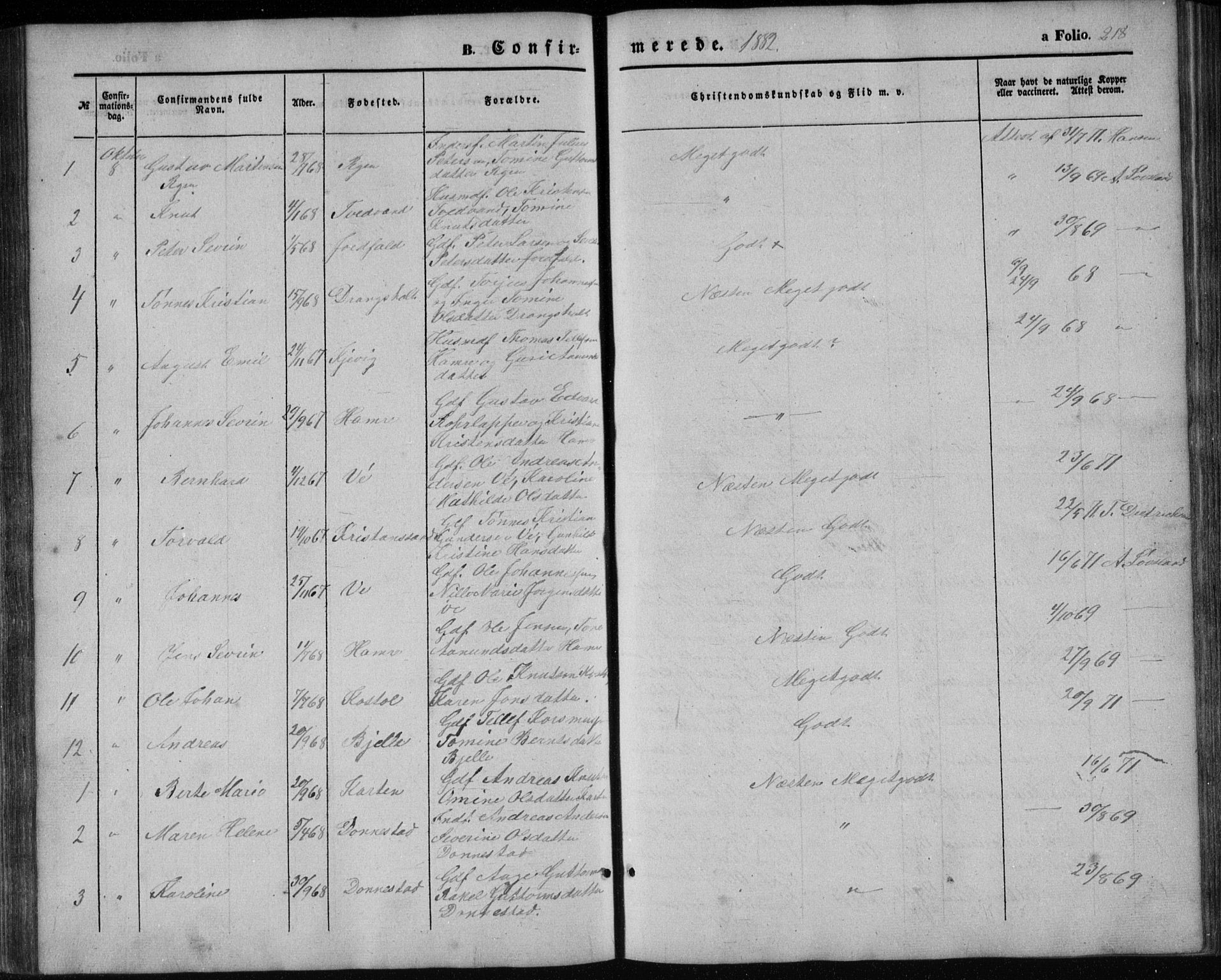 Tveit sokneprestkontor, AV/SAK-1111-0043/F/Fb/L0003: Parish register (copy) no. B 3, 1854-1886, p. 218