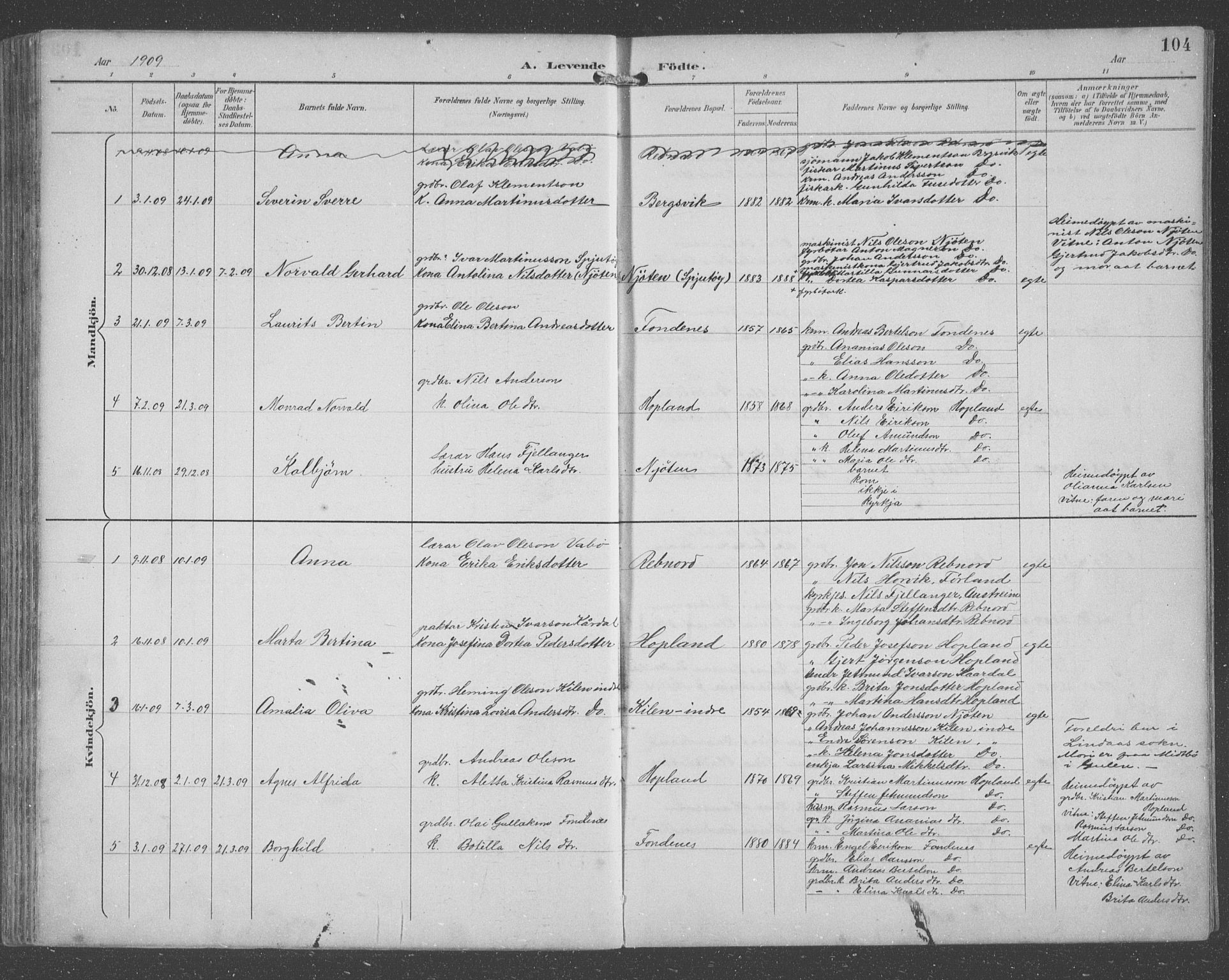 Lindås Sokneprestembete, AV/SAB-A-76701/H/Hab/Habc/L0004: Parish register (copy) no. C 4, 1894-1910, p. 104