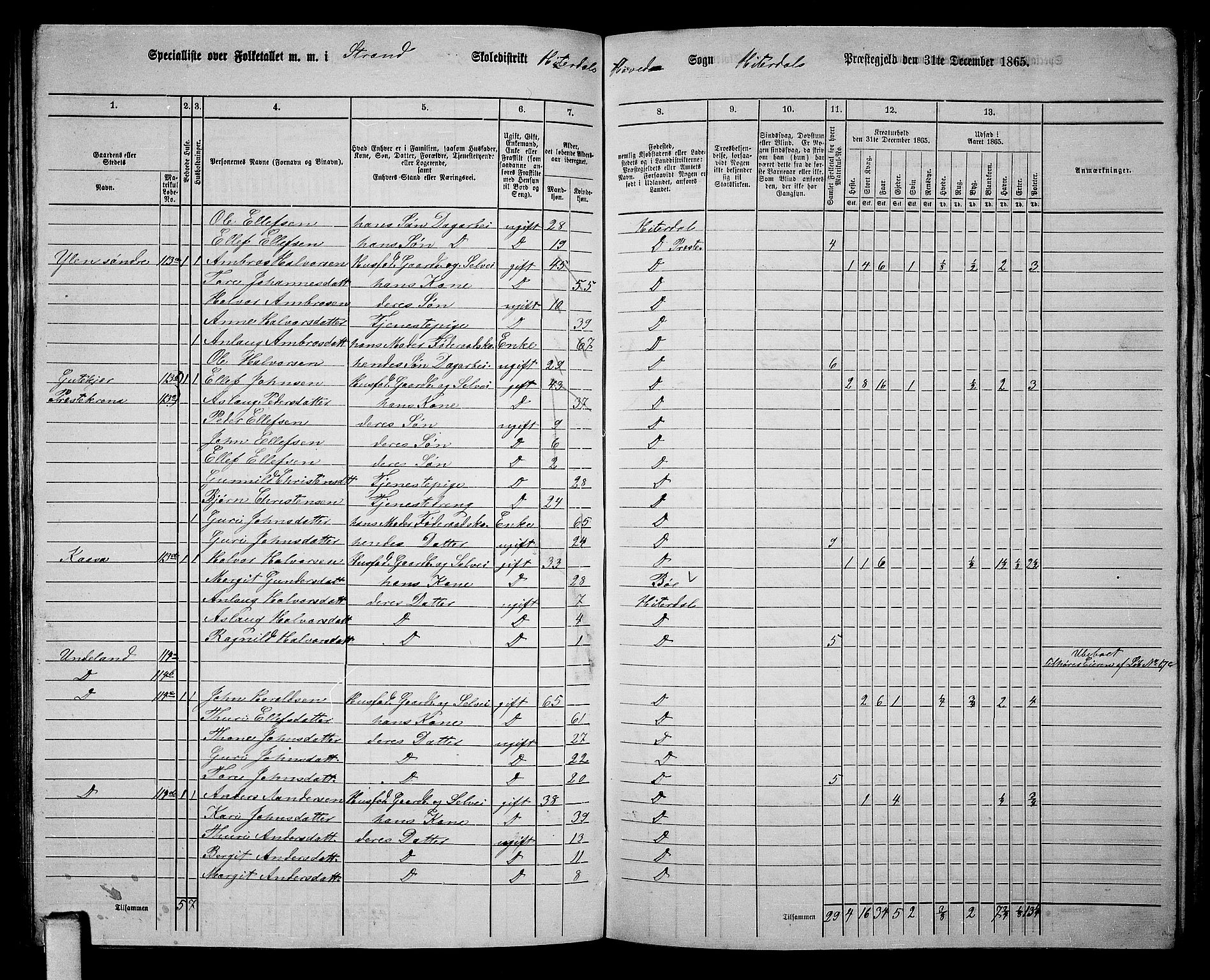 RA, 1865 census for Heddal, 1865, p. 101