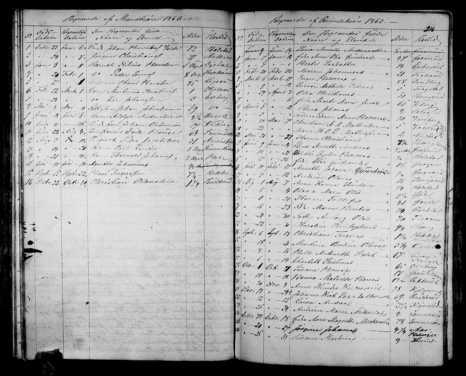 Sande Kirkebøker, AV/SAKO-A-53/G/Ga/L0002: Parish register (copy) no. 2, 1847-1863, p. 216