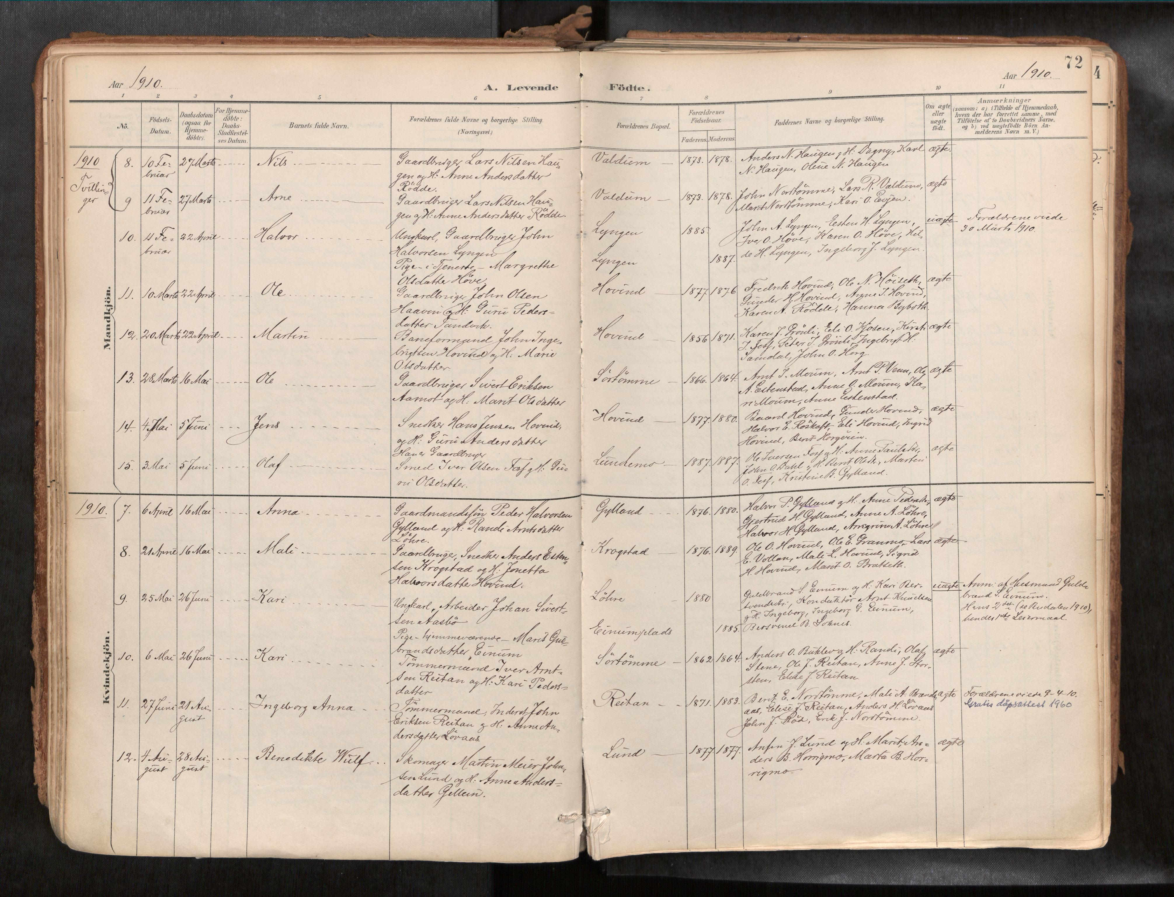 Ministerialprotokoller, klokkerbøker og fødselsregistre - Sør-Trøndelag, SAT/A-1456/692/L1105b: Parish register (official) no. 692A06, 1891-1934, p. 72