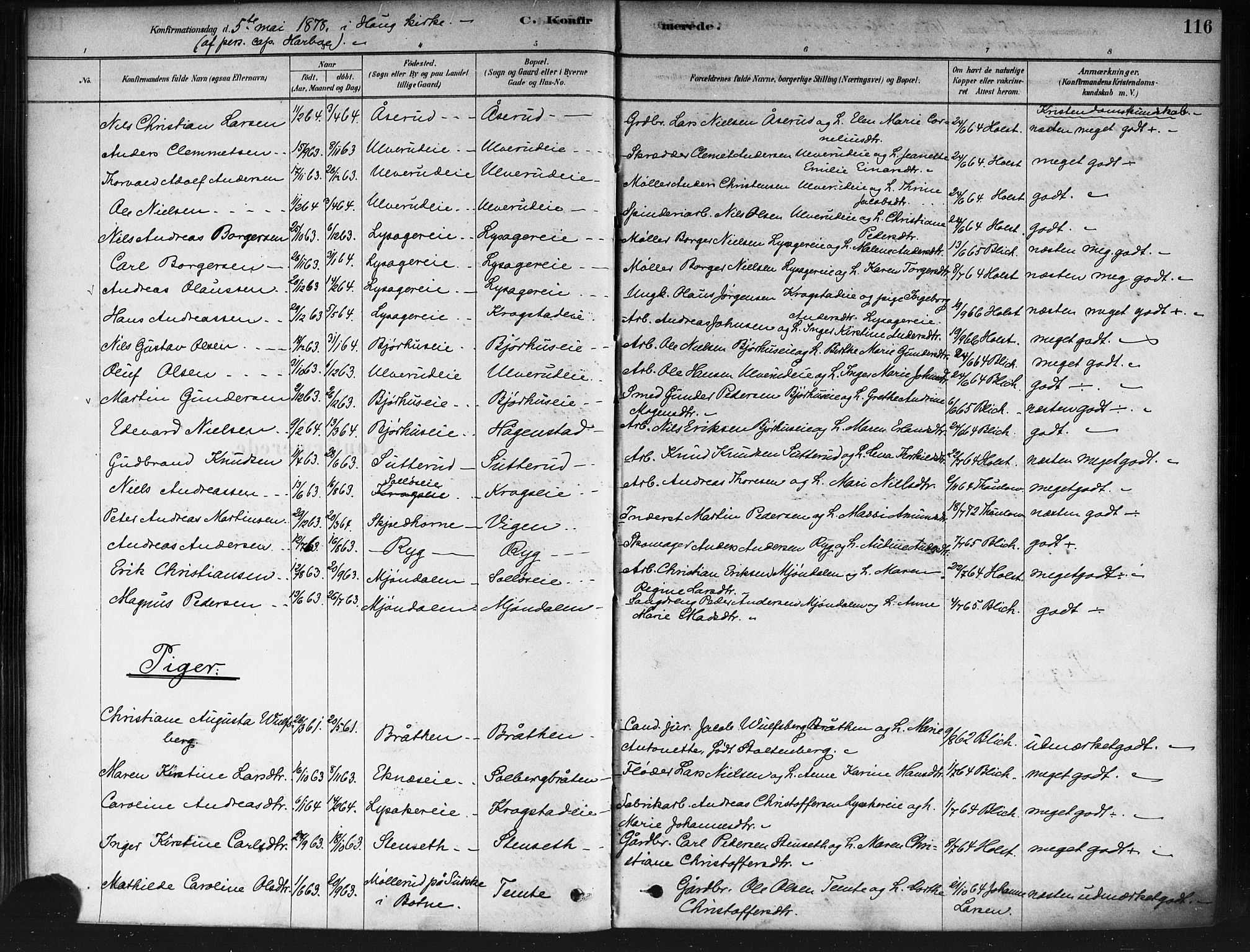 Nedre Eiker kirkebøker, SAKO/A-612/F/Fa/L0002: Parish register (official) no. 2, 1878-1885, p. 116