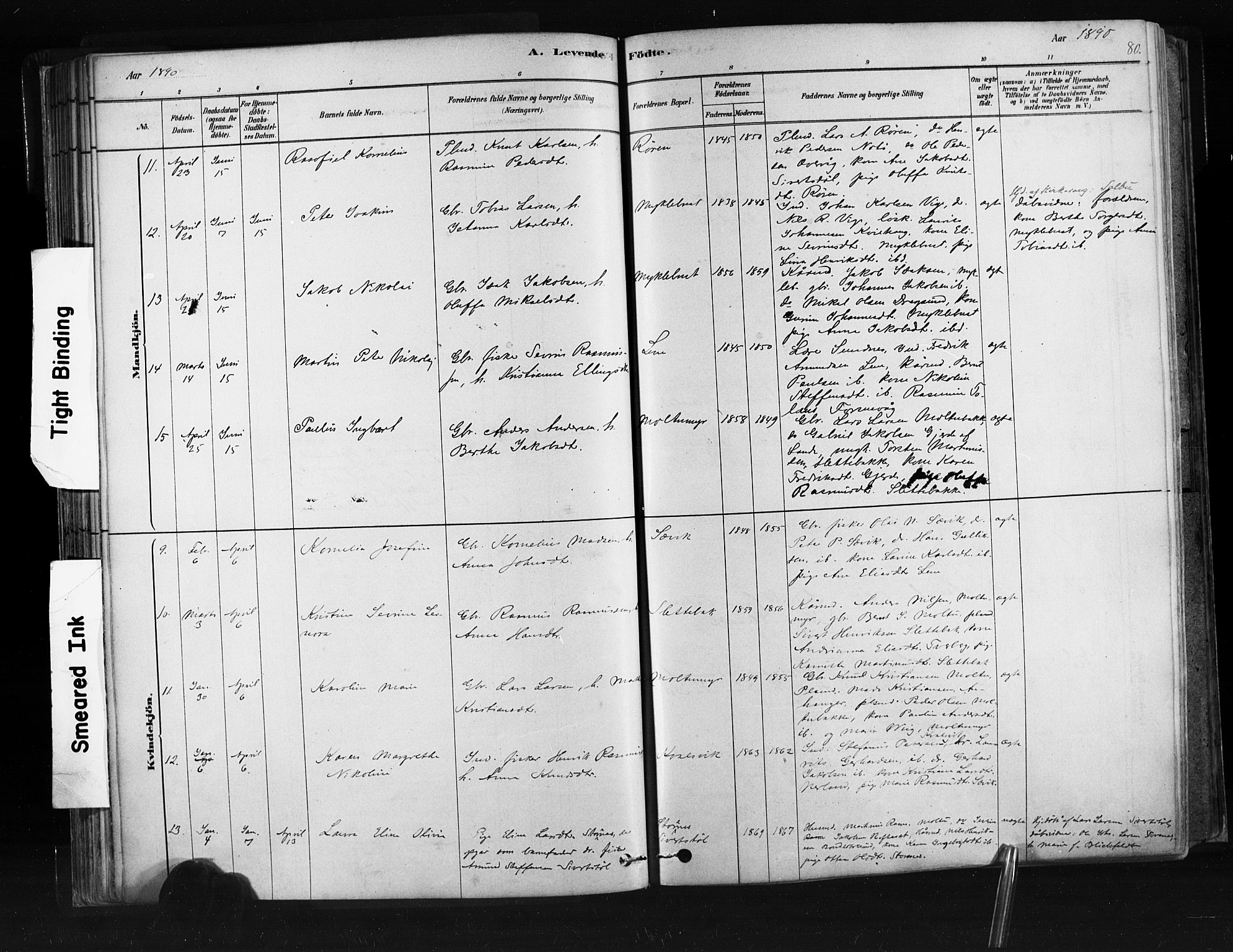 Ministerialprotokoller, klokkerbøker og fødselsregistre - Møre og Romsdal, AV/SAT-A-1454/507/L0073: Parish register (official) no. 507A08, 1878-1904, p. 80