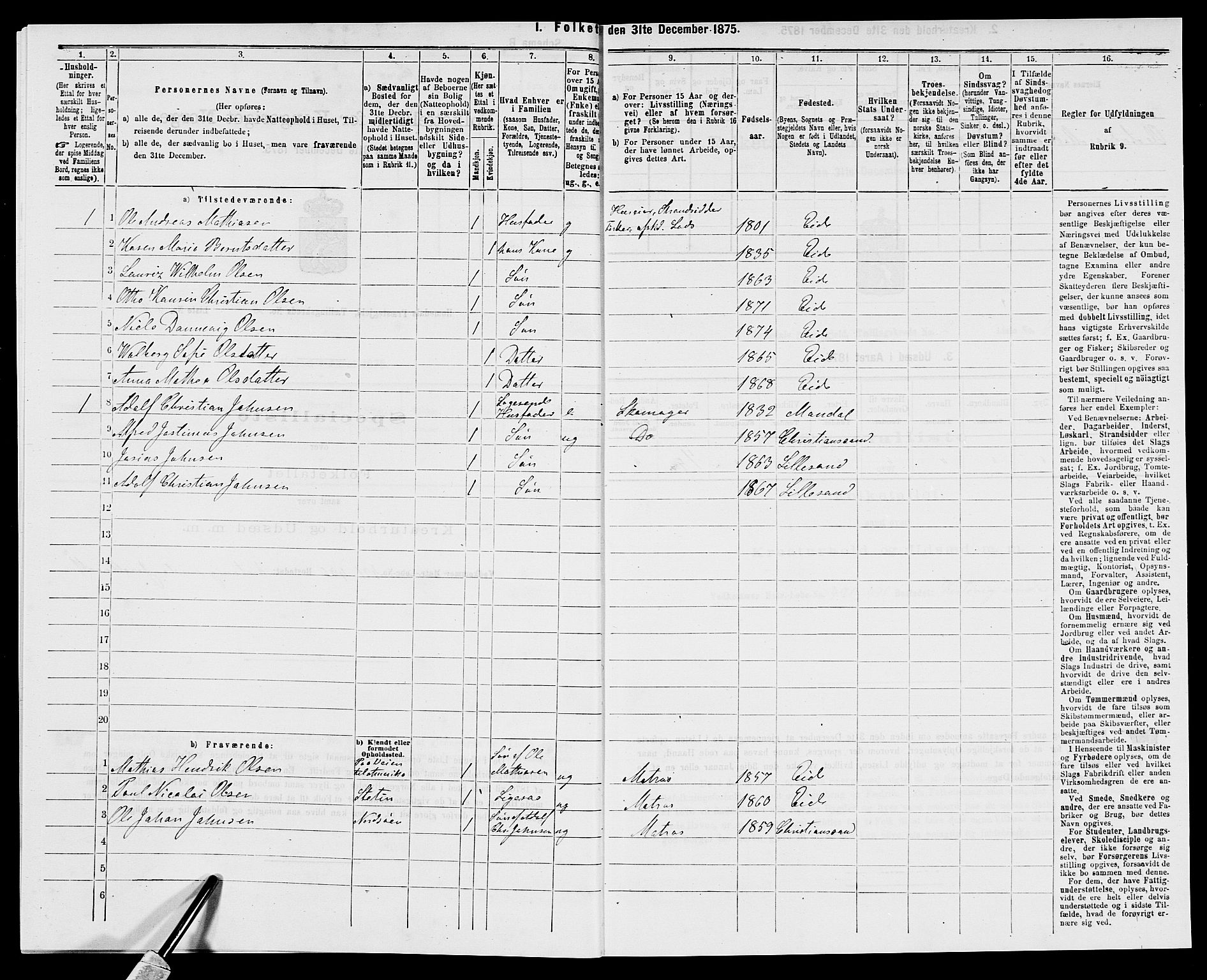 SAK, 1875 census for 0924P Homedal, 1875, p. 217