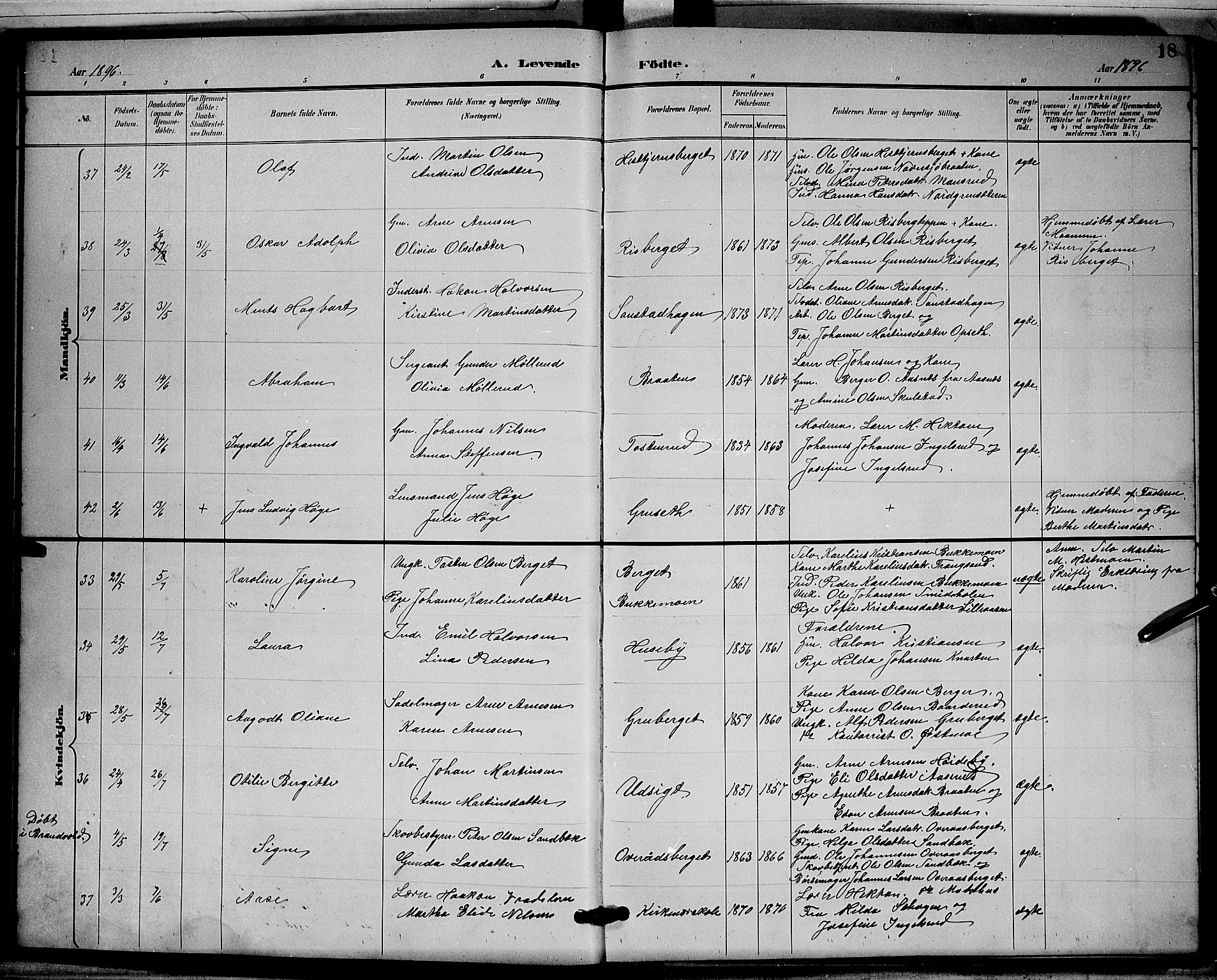 Grue prestekontor, SAH/PREST-036/H/Ha/Hab/L0003: Parish register (copy) no. 3, 1895-1899, p. 18