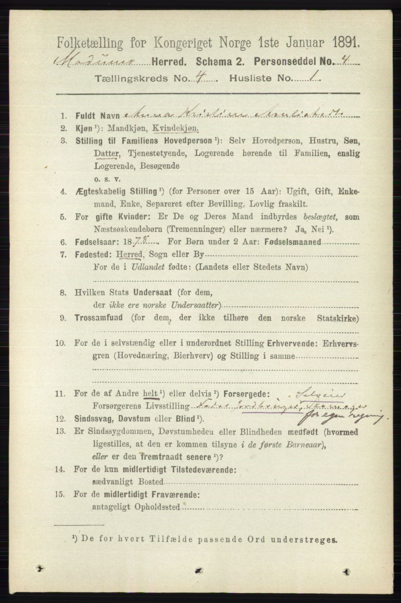 RA, 1891 census for 0623 Modum, 1891, p. 992