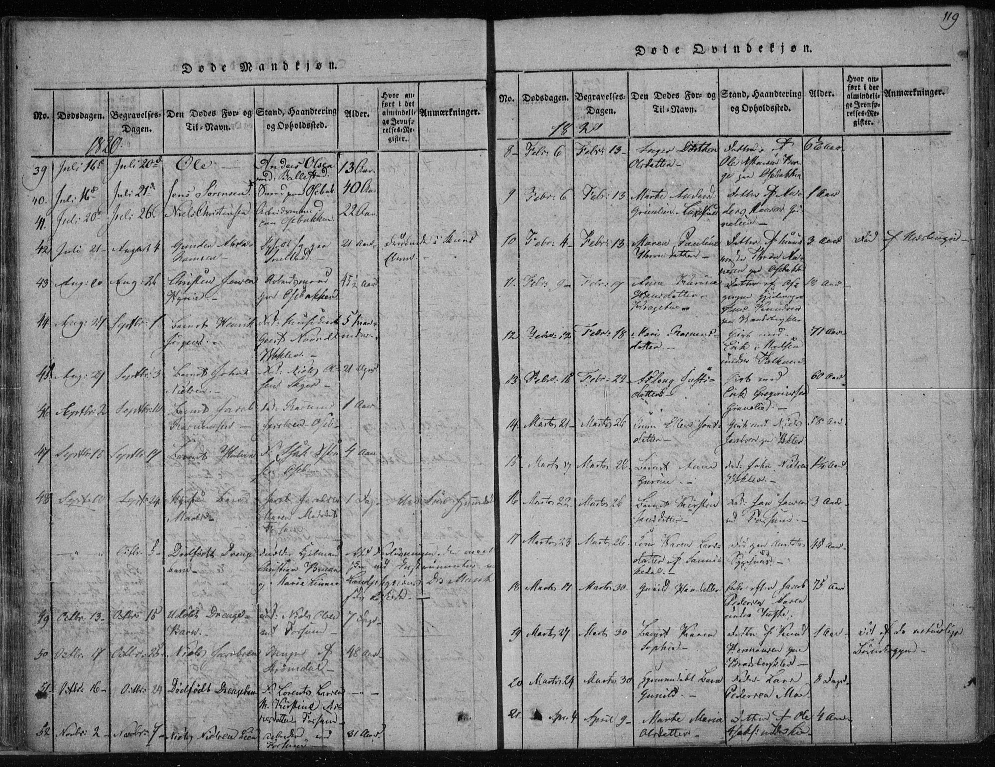 Gjerpen kirkebøker, SAKO/A-265/F/Fa/L0004: Parish register (official) no. I 4, 1814-1823, p. 119