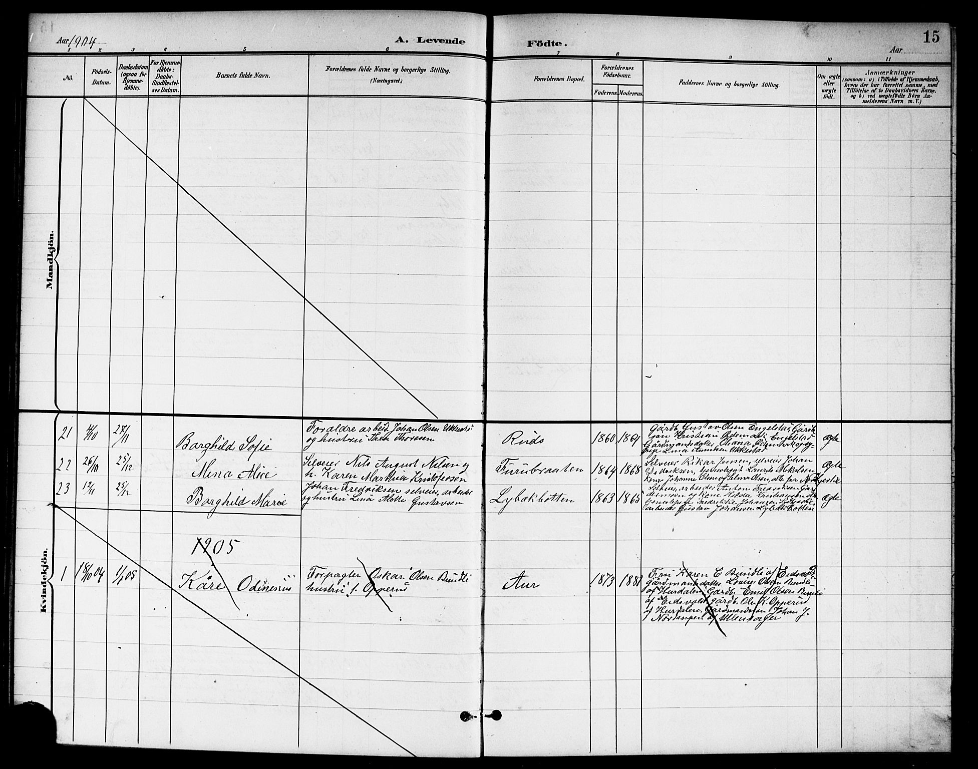 Nannestad prestekontor Kirkebøker, SAO/A-10414a/G/Ga/L0002: Parish register (copy) no. I 2, 1901-1913, p. 15