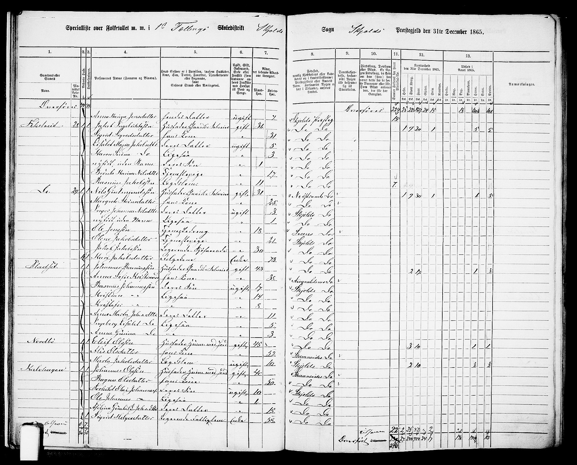 RA, 1865 census for Skjold, 1865, p. 20