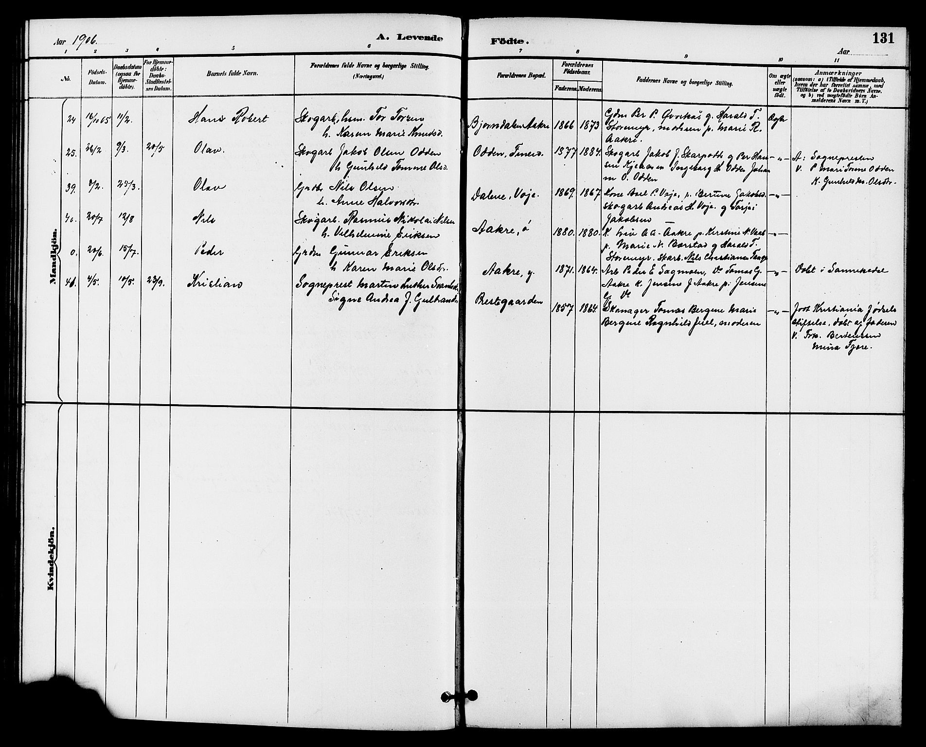 Drangedal kirkebøker, SAKO/A-258/G/Ga/L0003: Parish register (copy) no. I 3, 1887-1906, p. 131