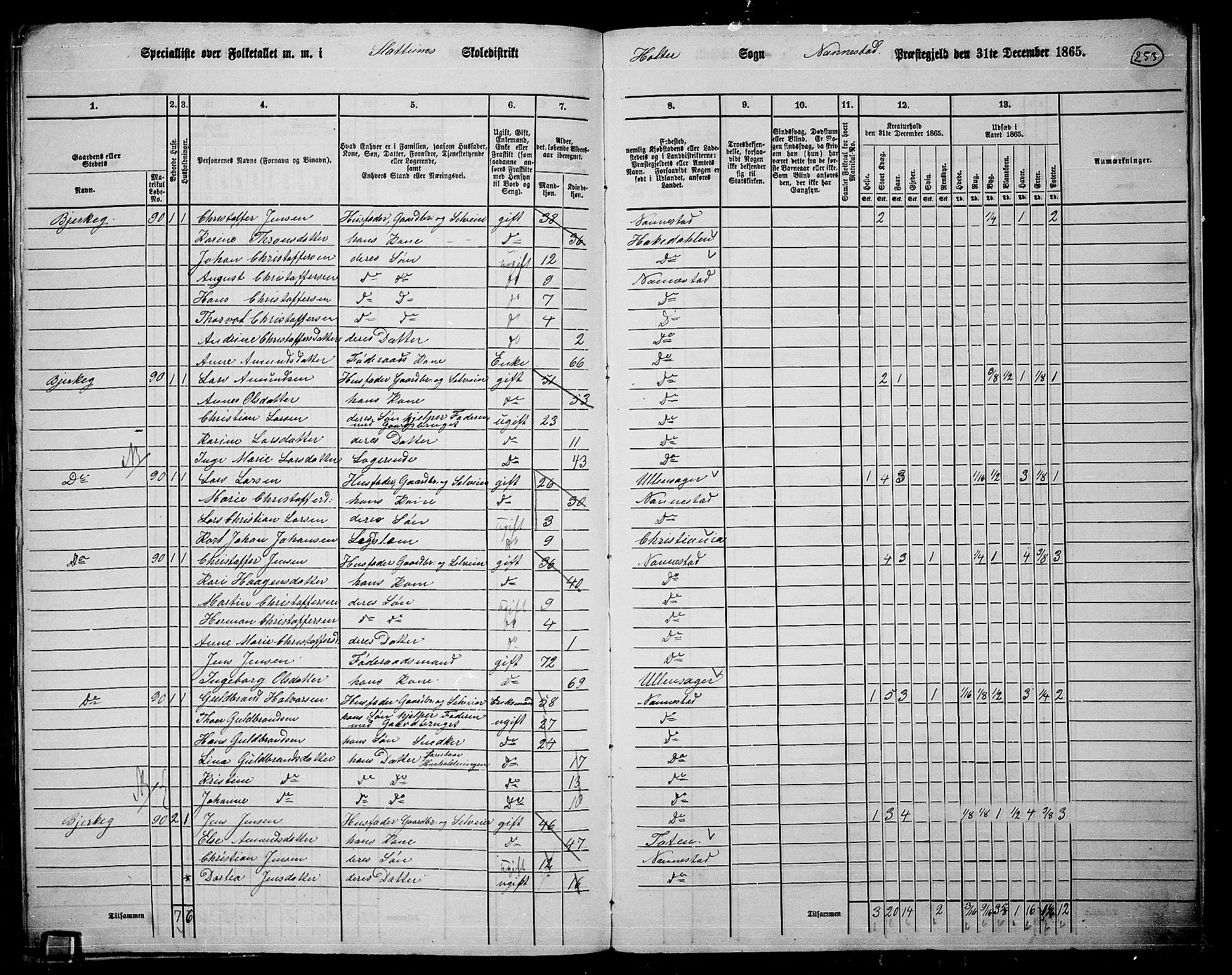 RA, 1865 census for Nannestad, 1865, p. 125