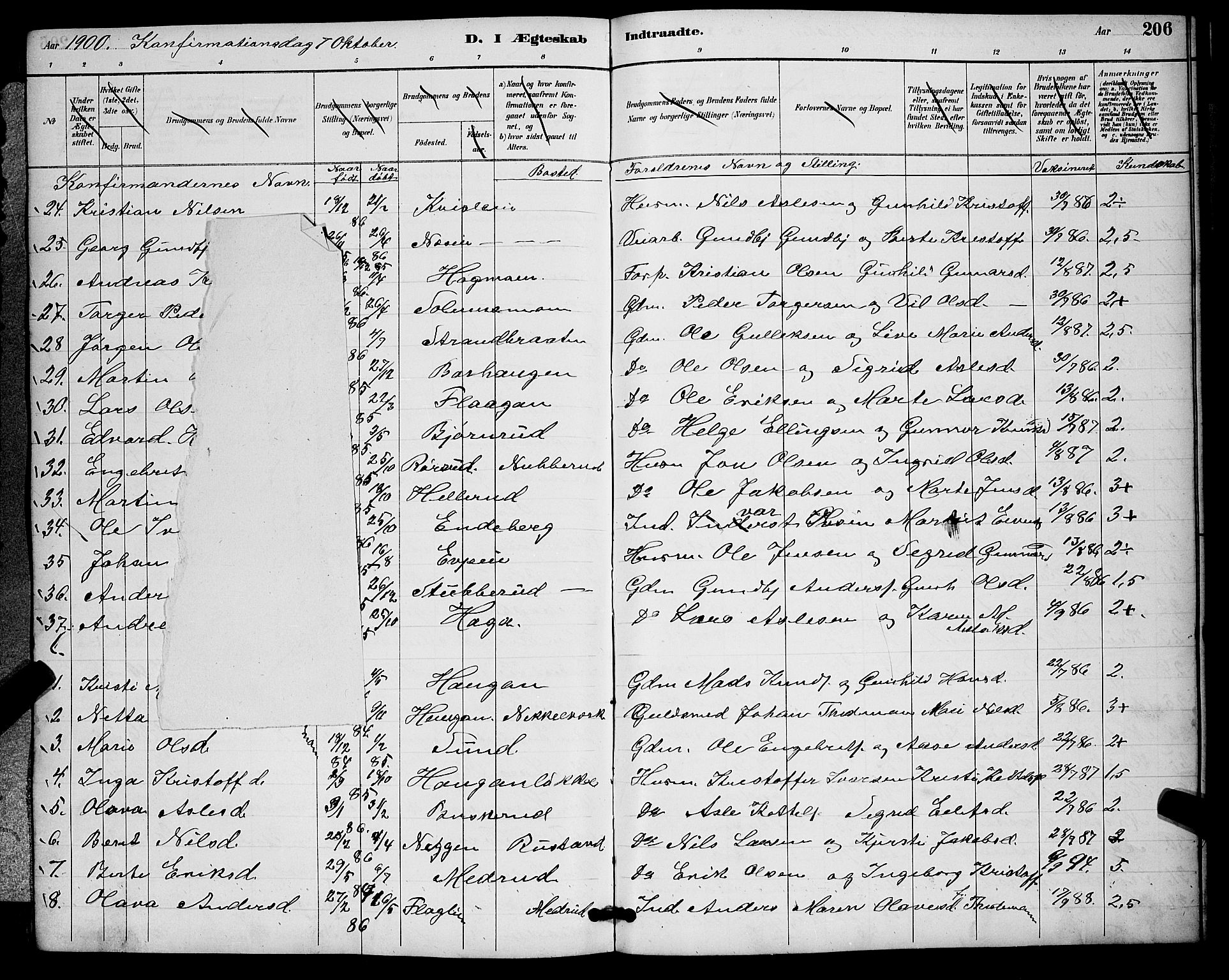 Sigdal kirkebøker, AV/SAKO-A-245/G/Ga/L0005: Parish register (copy) no. I 5, 1886-1900, p. 206