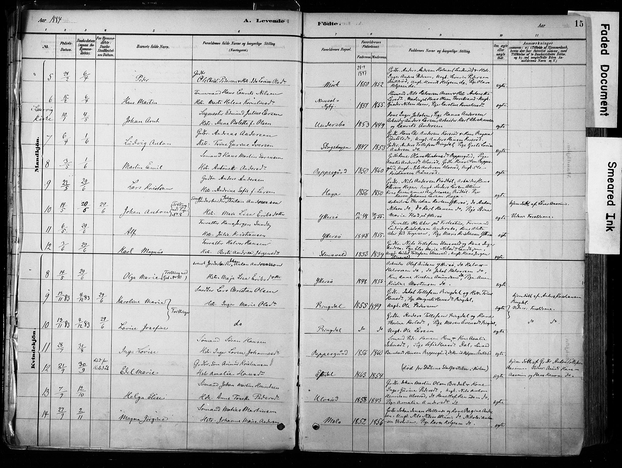 Hedrum kirkebøker, AV/SAKO-A-344/F/Fa/L0009: Parish register (official) no. I 9, 1881-1903, p. 15