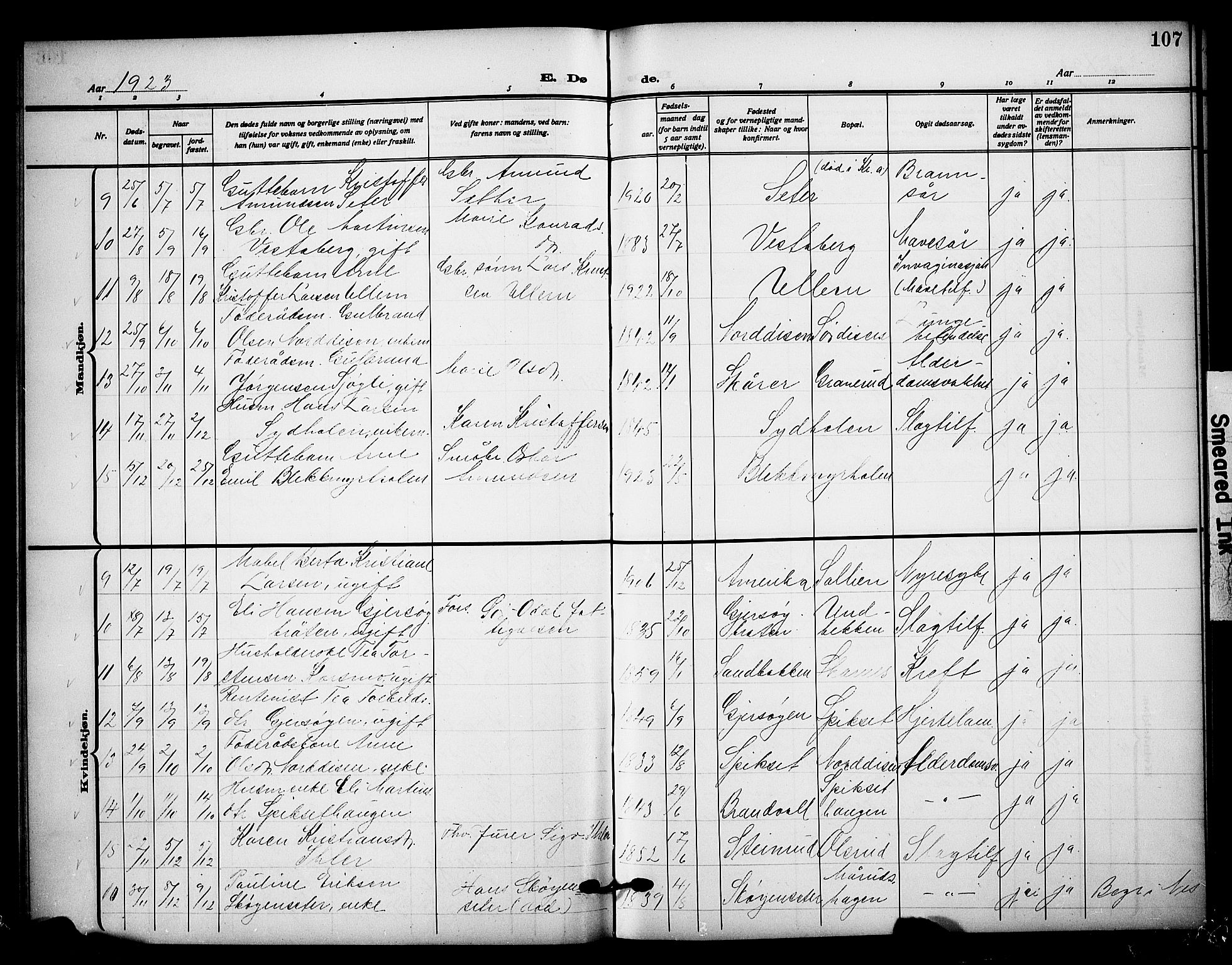 Sør-Odal prestekontor, SAH/PREST-030/H/Ha/Hab/L0009: Parish register (copy) no. 9, 1915-1927, p. 107