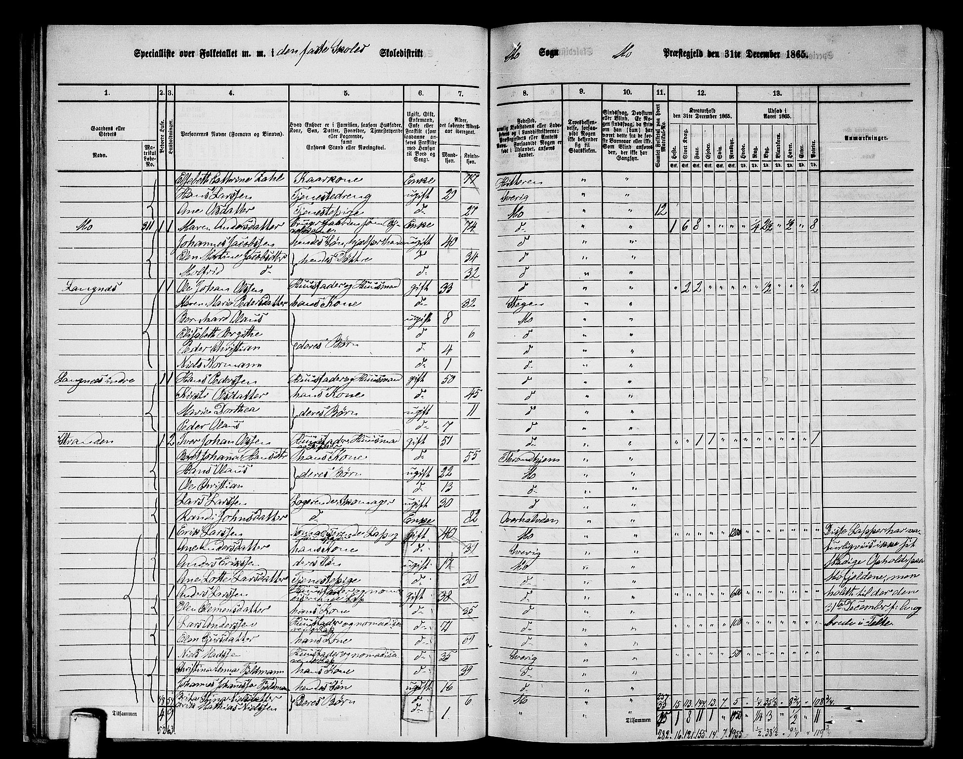 RA, 1865 census for Mo, 1865, p. 41