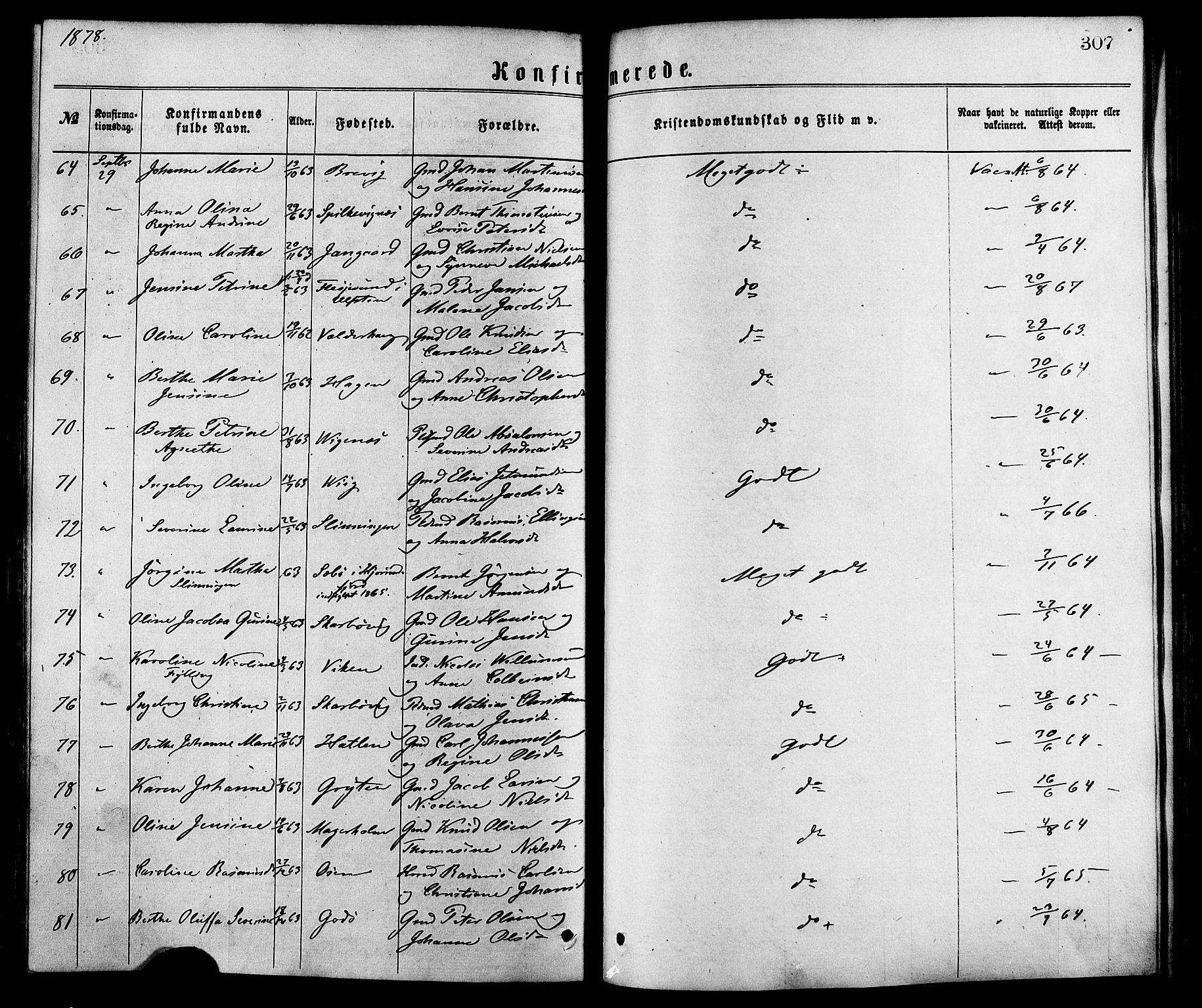 Ministerialprotokoller, klokkerbøker og fødselsregistre - Møre og Romsdal, AV/SAT-A-1454/528/L0400: Parish register (official) no. 528A11, 1871-1879, p. 307