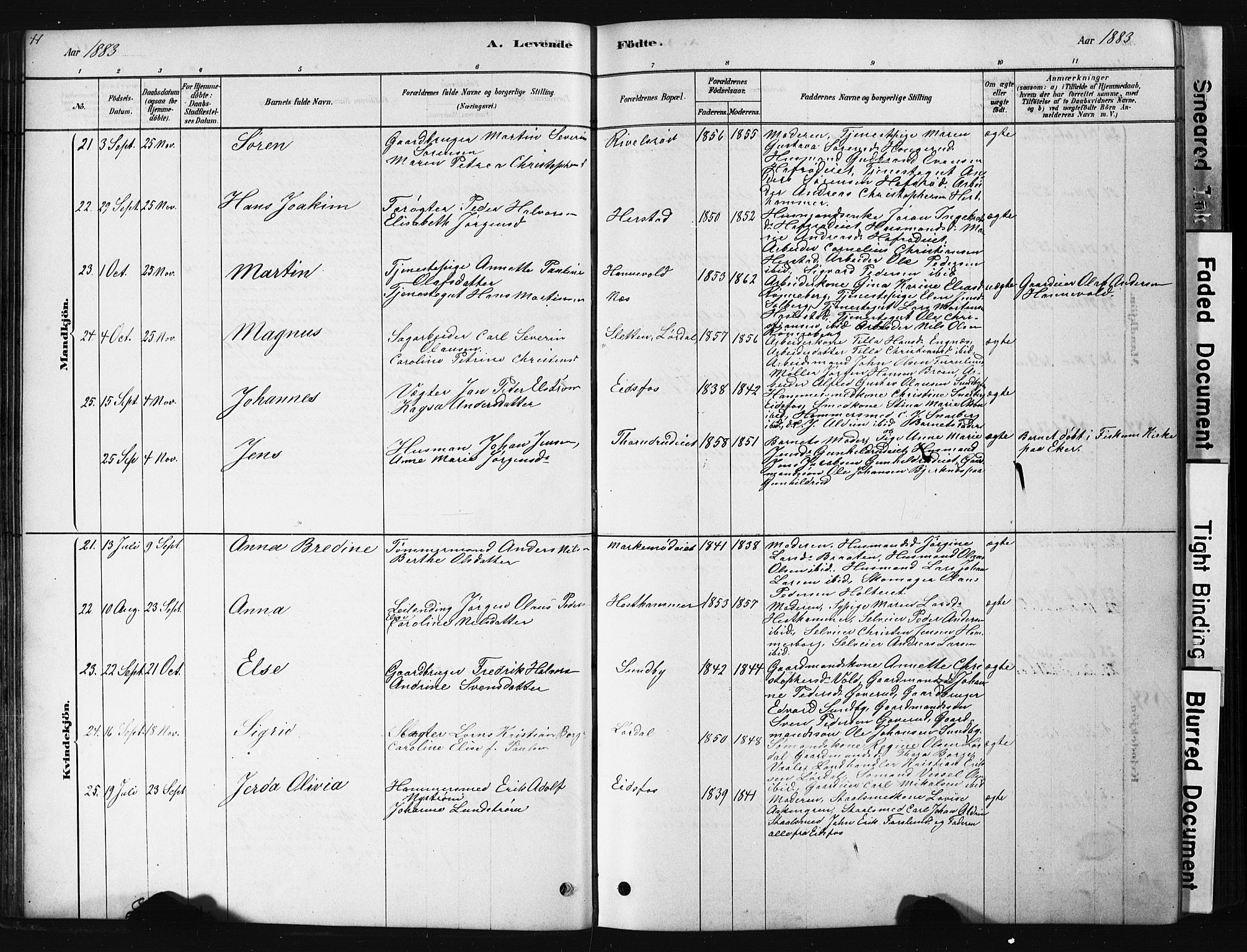 Hof kirkebøker, AV/SAKO-A-64/G/Ga/L0004: Parish register (copy) no. I 4, 1878-1930, p. 41