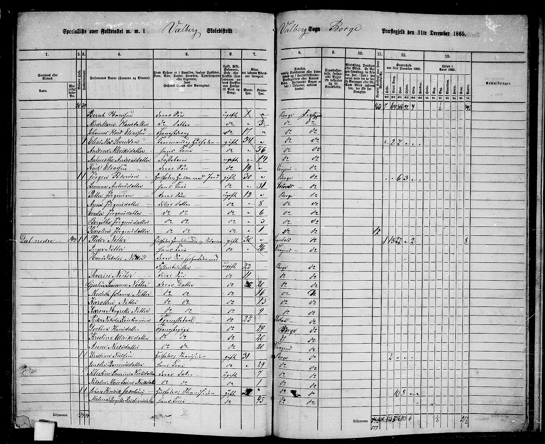 RA, 1865 census for Borge, 1865, p. 87