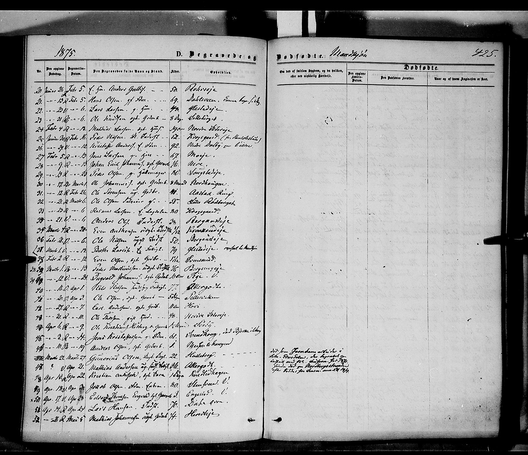 Ringsaker prestekontor, AV/SAH-PREST-014/K/Ka/L0011: Parish register (official) no. 11, 1870-1878, p. 425