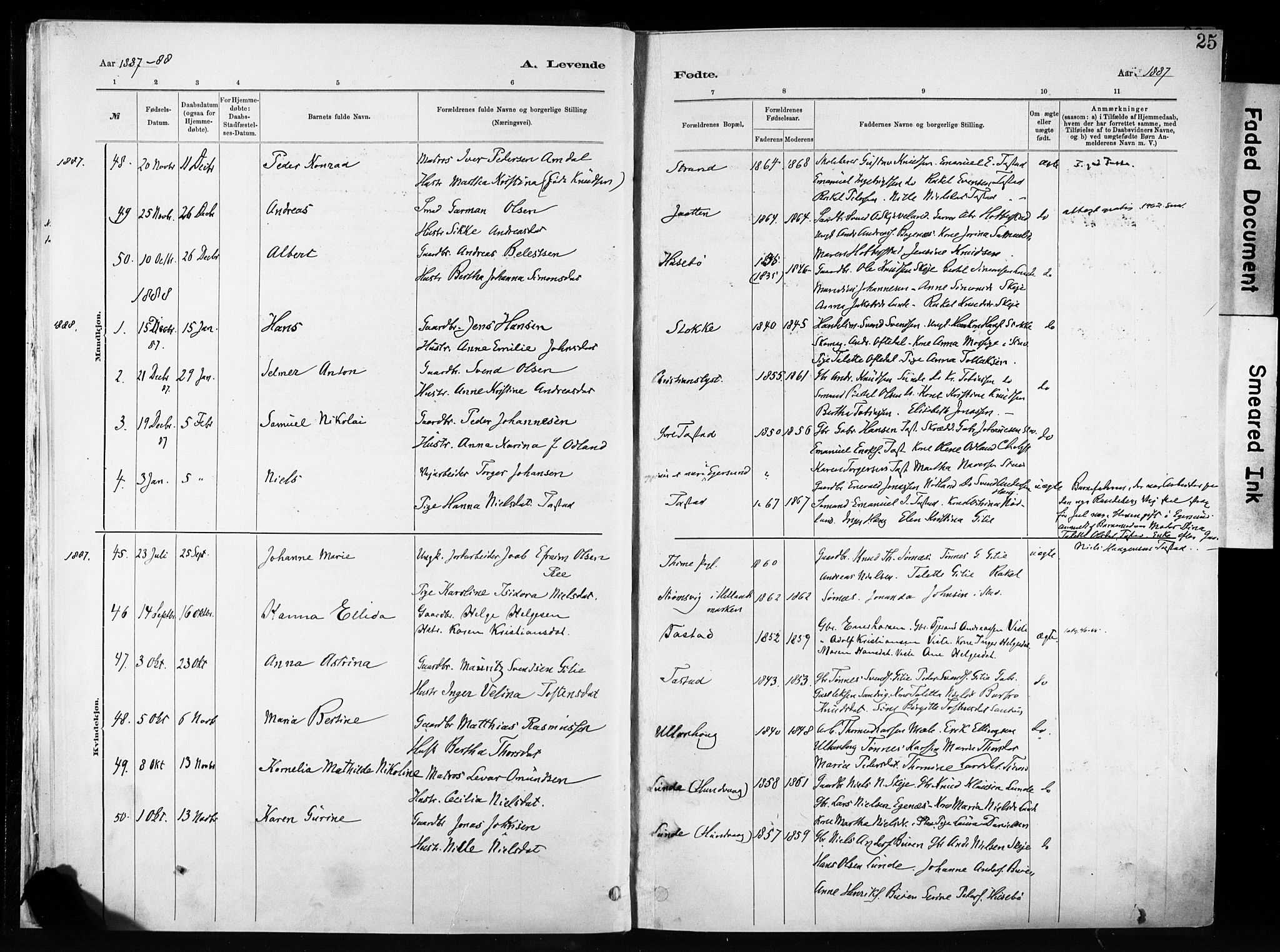 Hetland sokneprestkontor, SAST/A-101826/30/30BA/L0011: Parish register (official) no. A 11, 1884-1911, p. 25