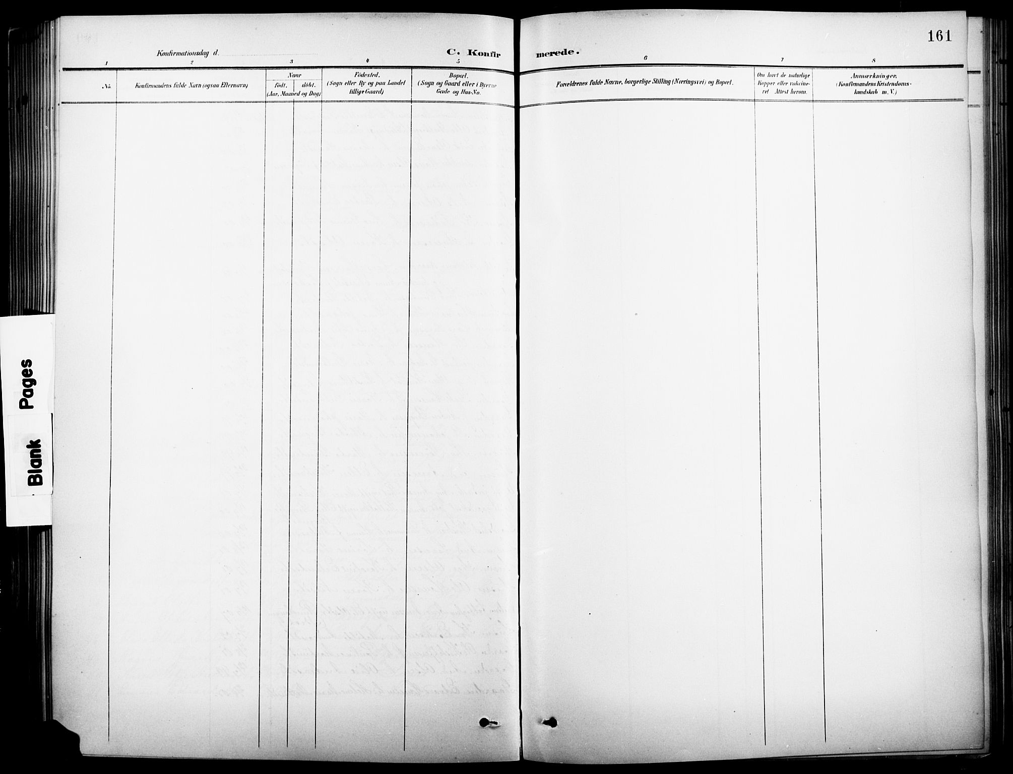 Vinger prestekontor, AV/SAH-PREST-024/H/Ha/Hab/L0003: Parish register (copy) no. 3, 1895-1920, p. 161