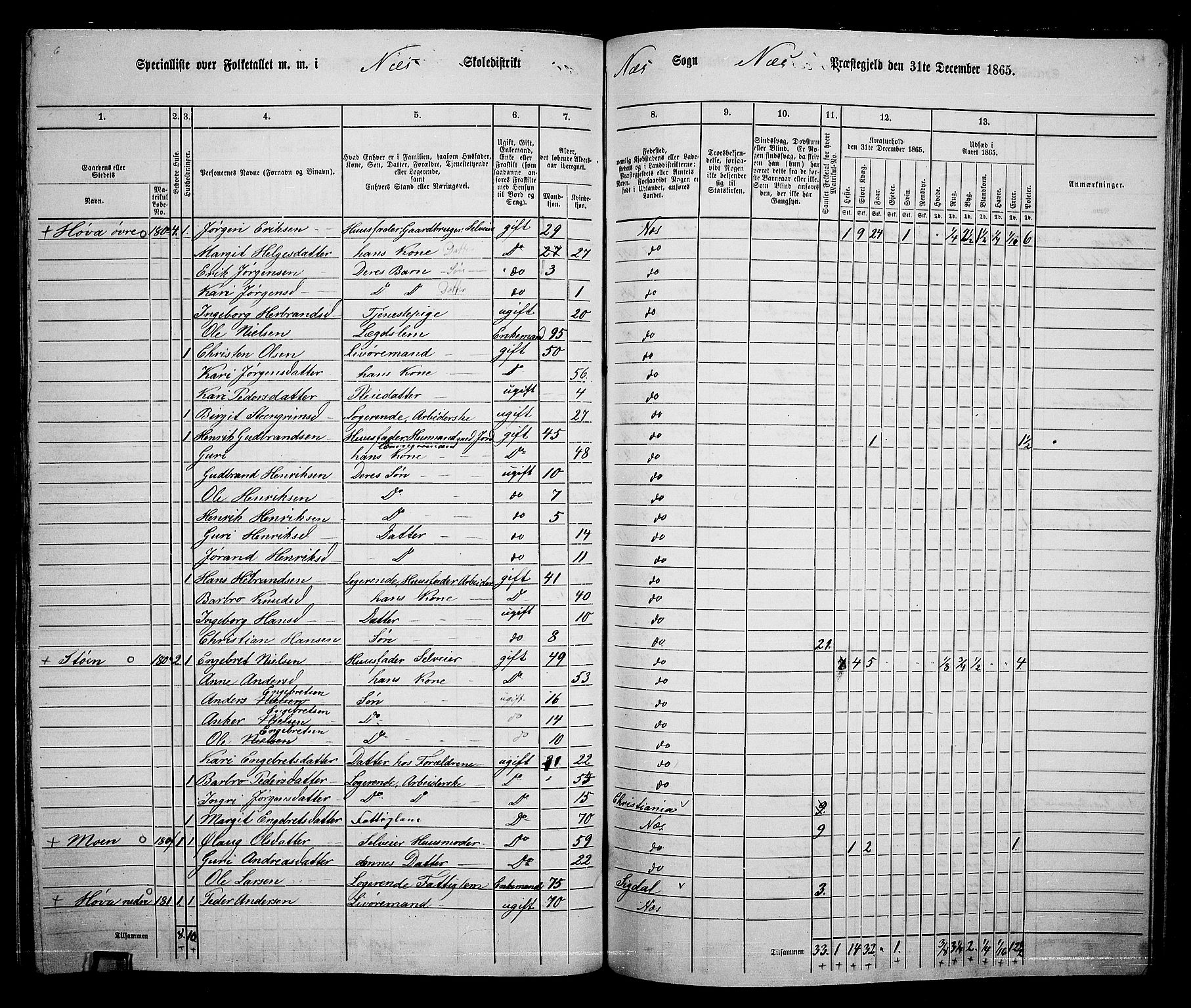 RA, 1865 census for Nes, 1865, p. 167