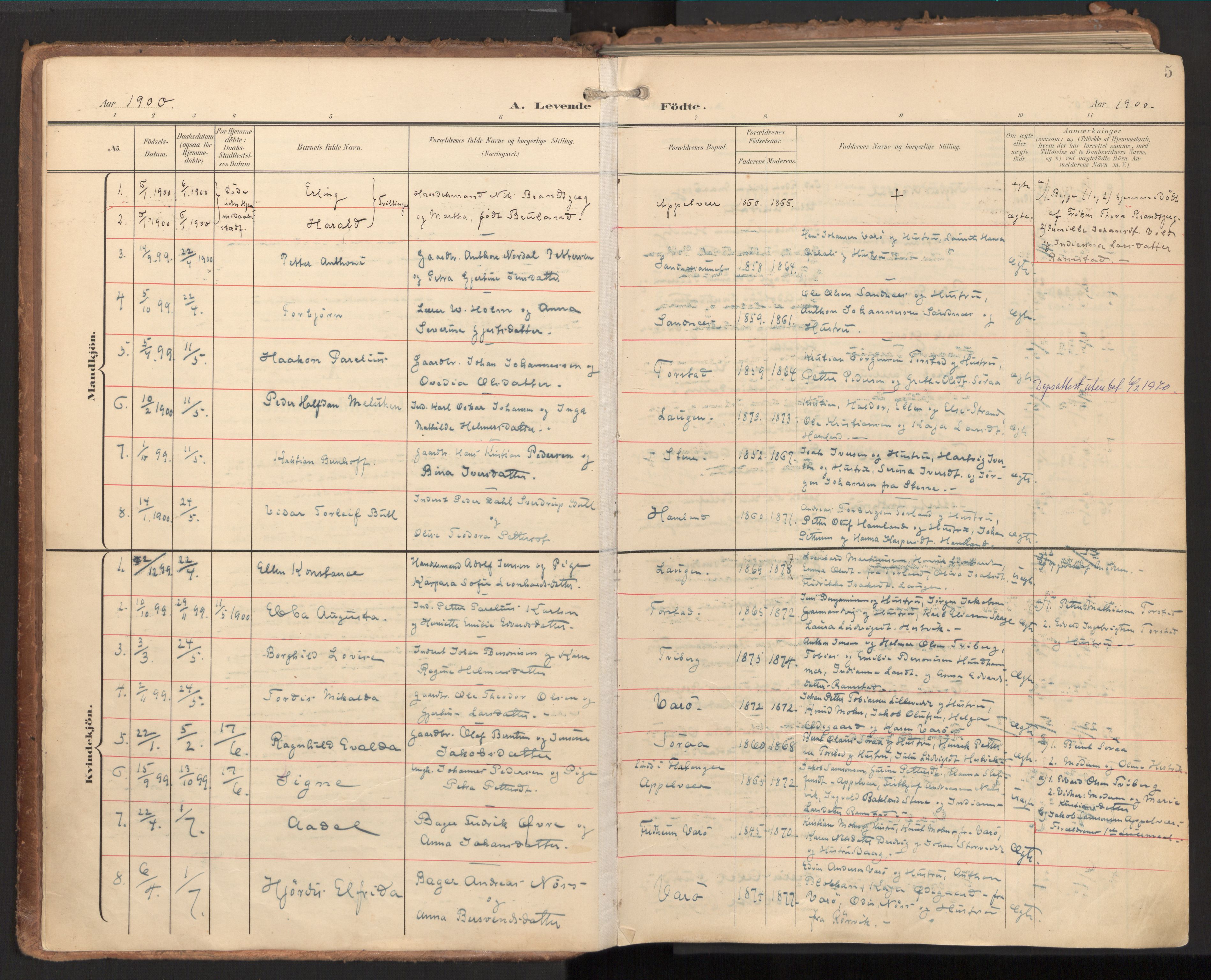 Ministerialprotokoller, klokkerbøker og fødselsregistre - Nord-Trøndelag, SAT/A-1458/784/L0677: Parish register (official) no. 784A12, 1900-1920, p. 5